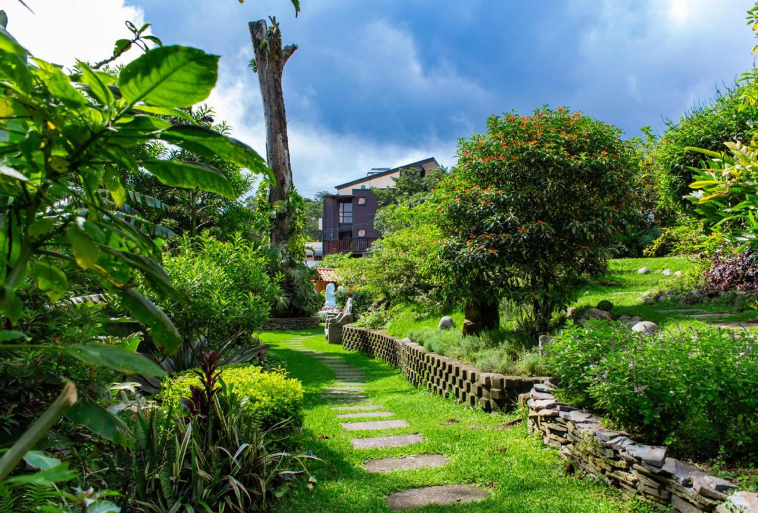 Natural landscape in Hotel & Spa Poco a Poco - Costa Rica
