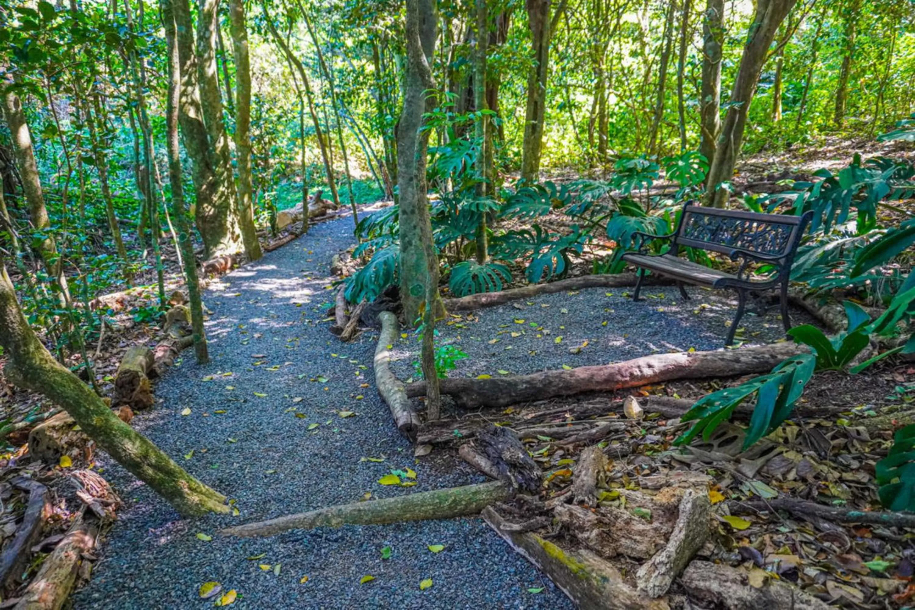 Natural landscape in Hotel & Spa Poco a Poco - Costa Rica