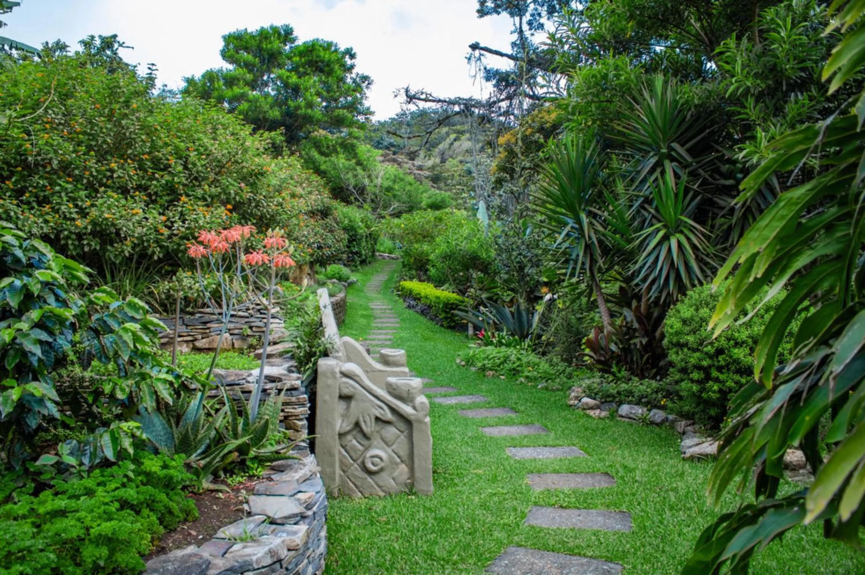 Natural landscape in Hotel & Spa Poco a Poco - Costa Rica