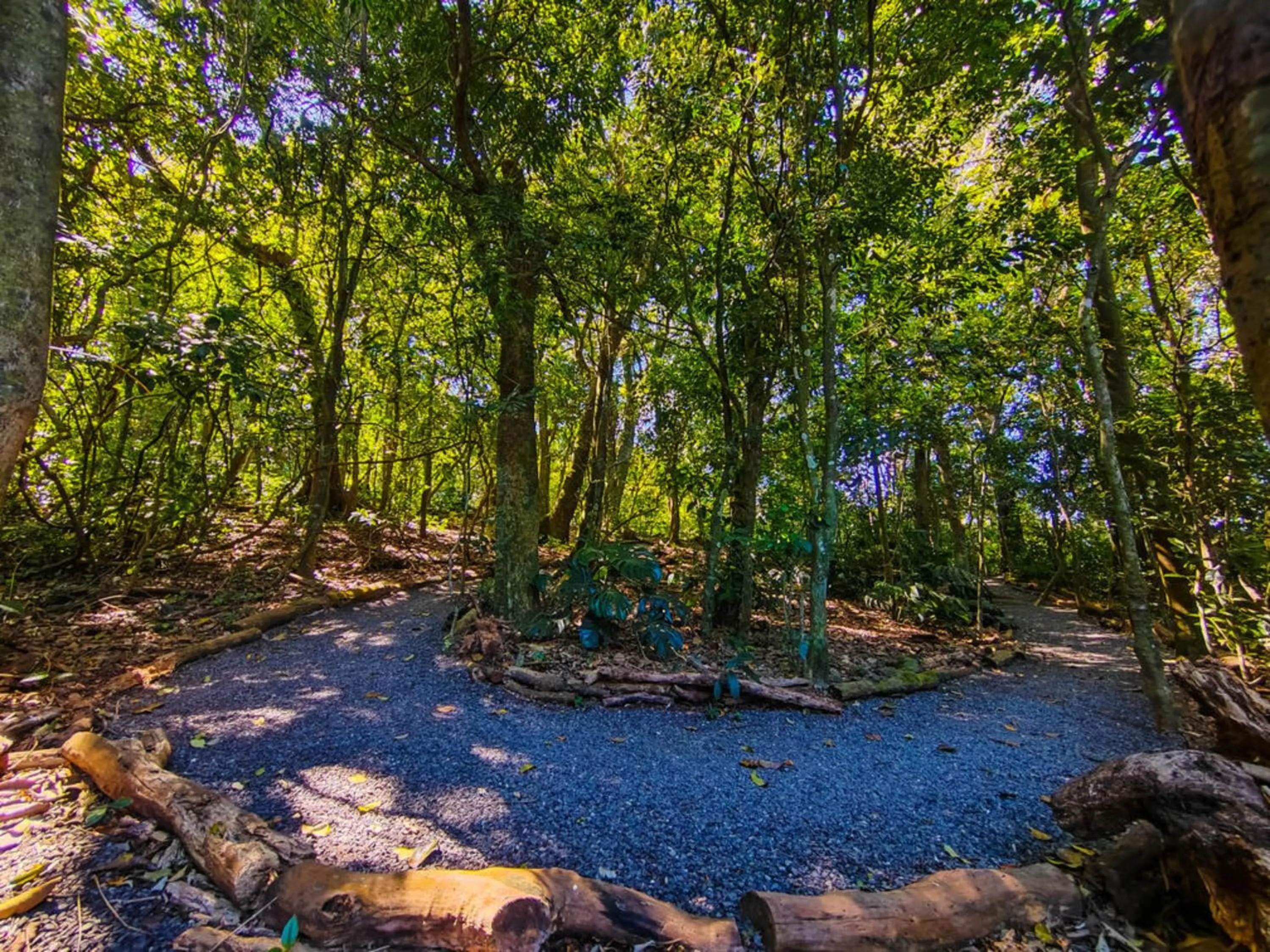 Natural landscape in Hotel & Spa Poco a Poco - Costa Rica