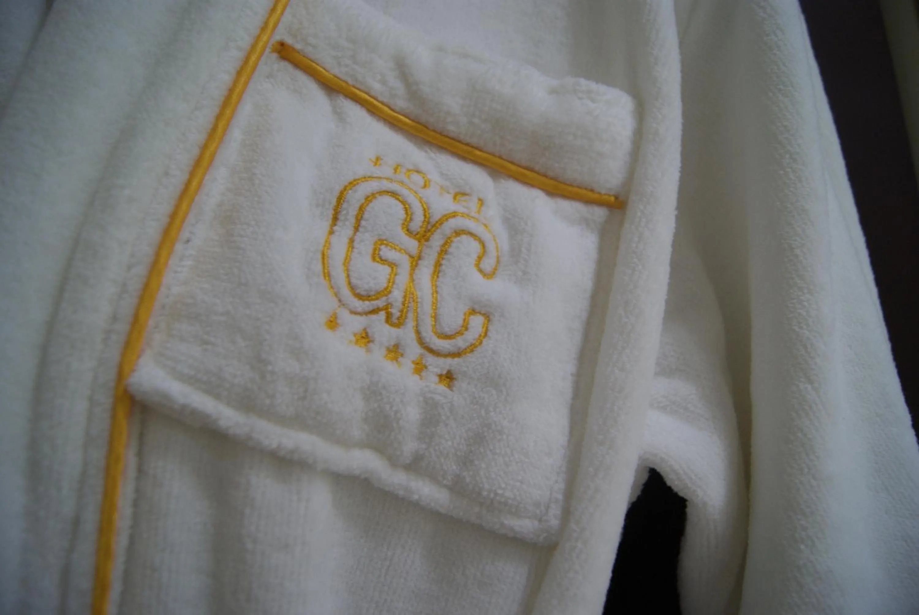 Property logo or sign in Golden Coast Hotel