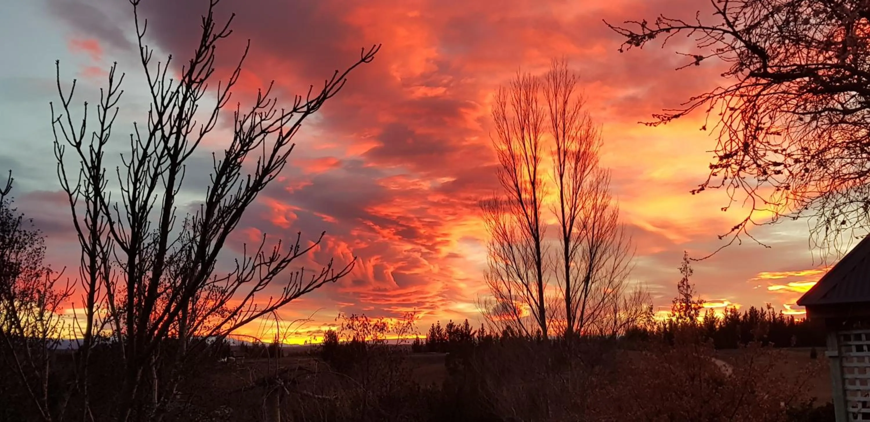 Hawkdun Rise Vineyard & Accommodation