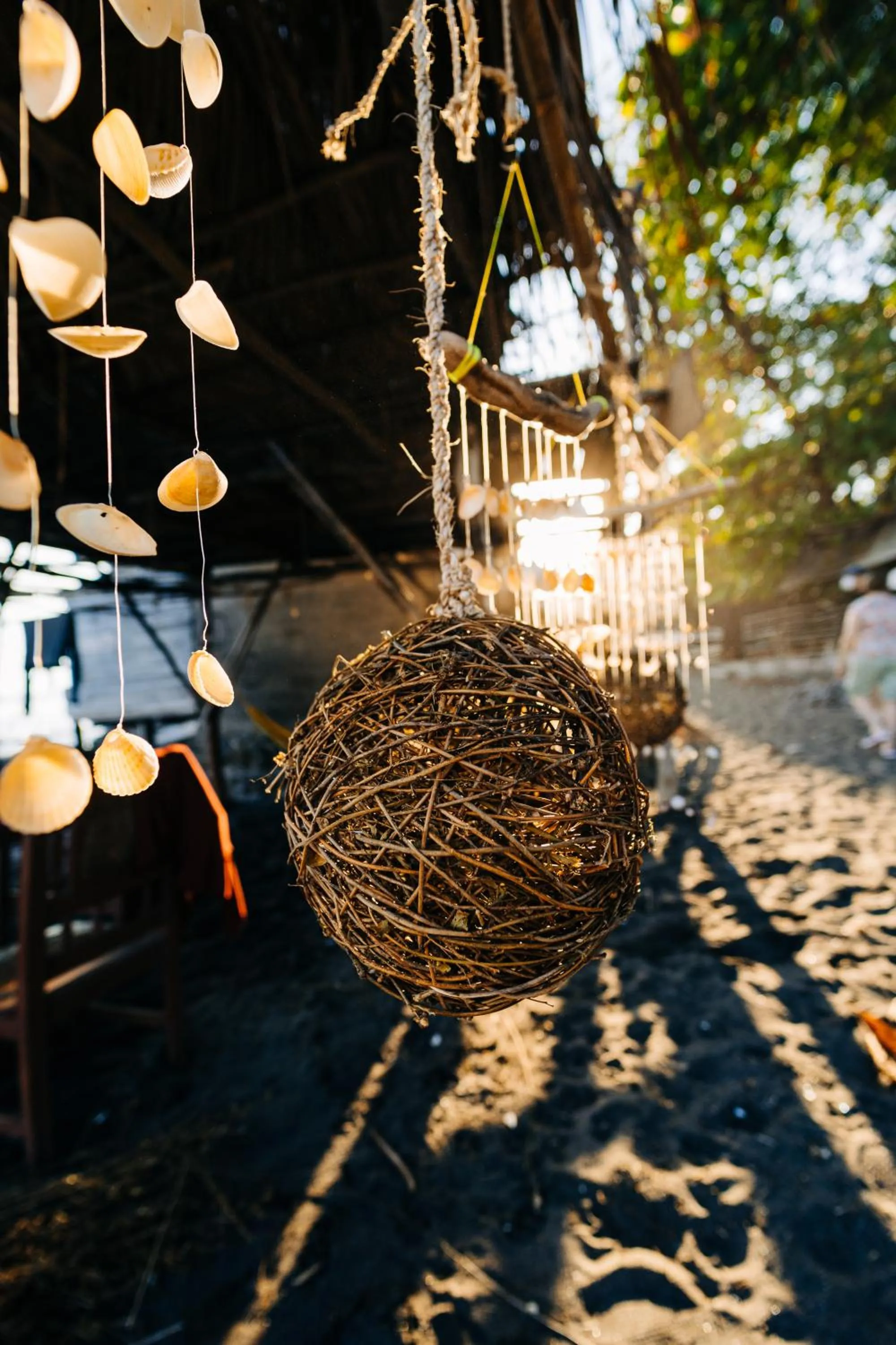 Day in Palo Verde Sustainable Hotel