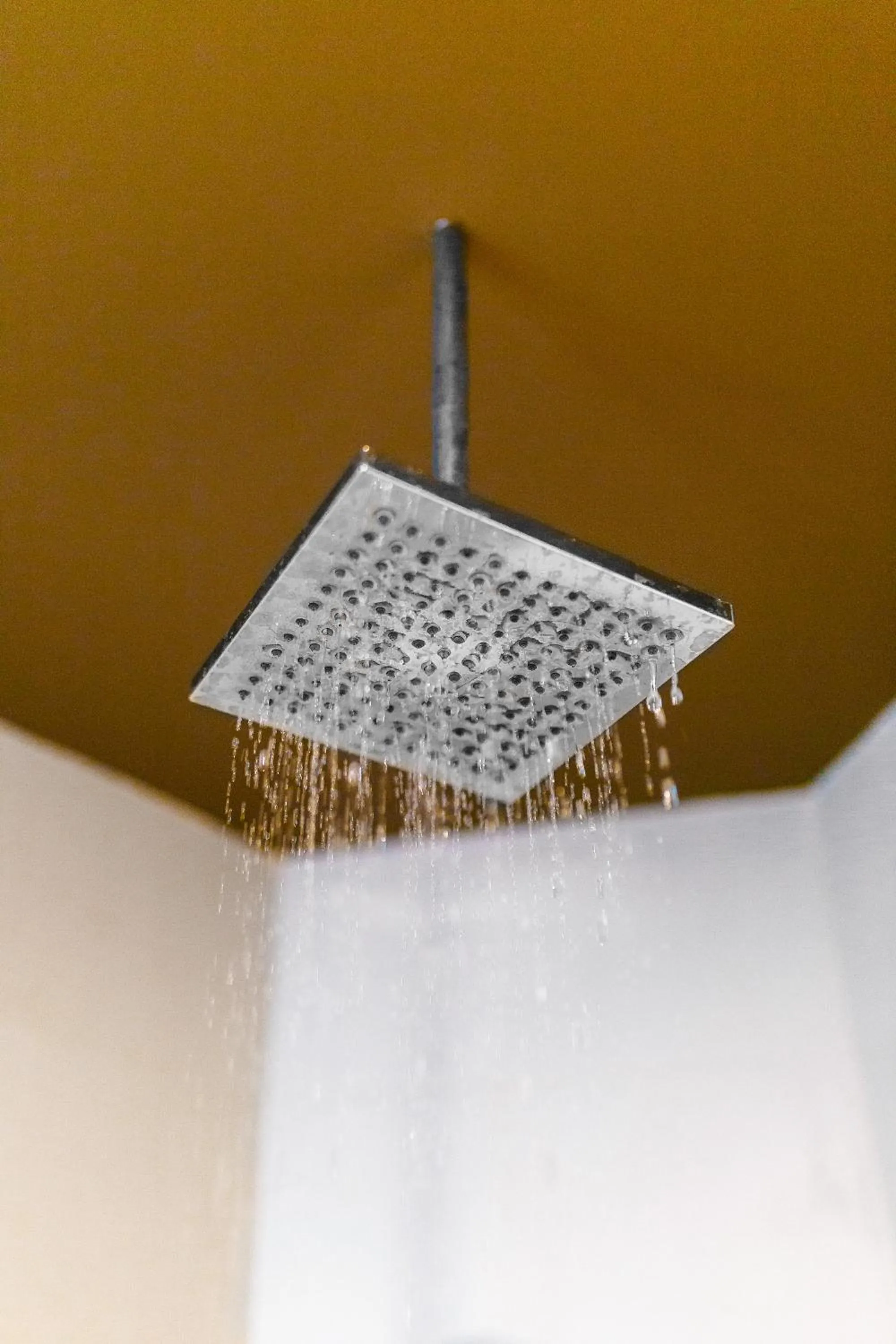 Shower in Palo Verde Sustainable Hotel