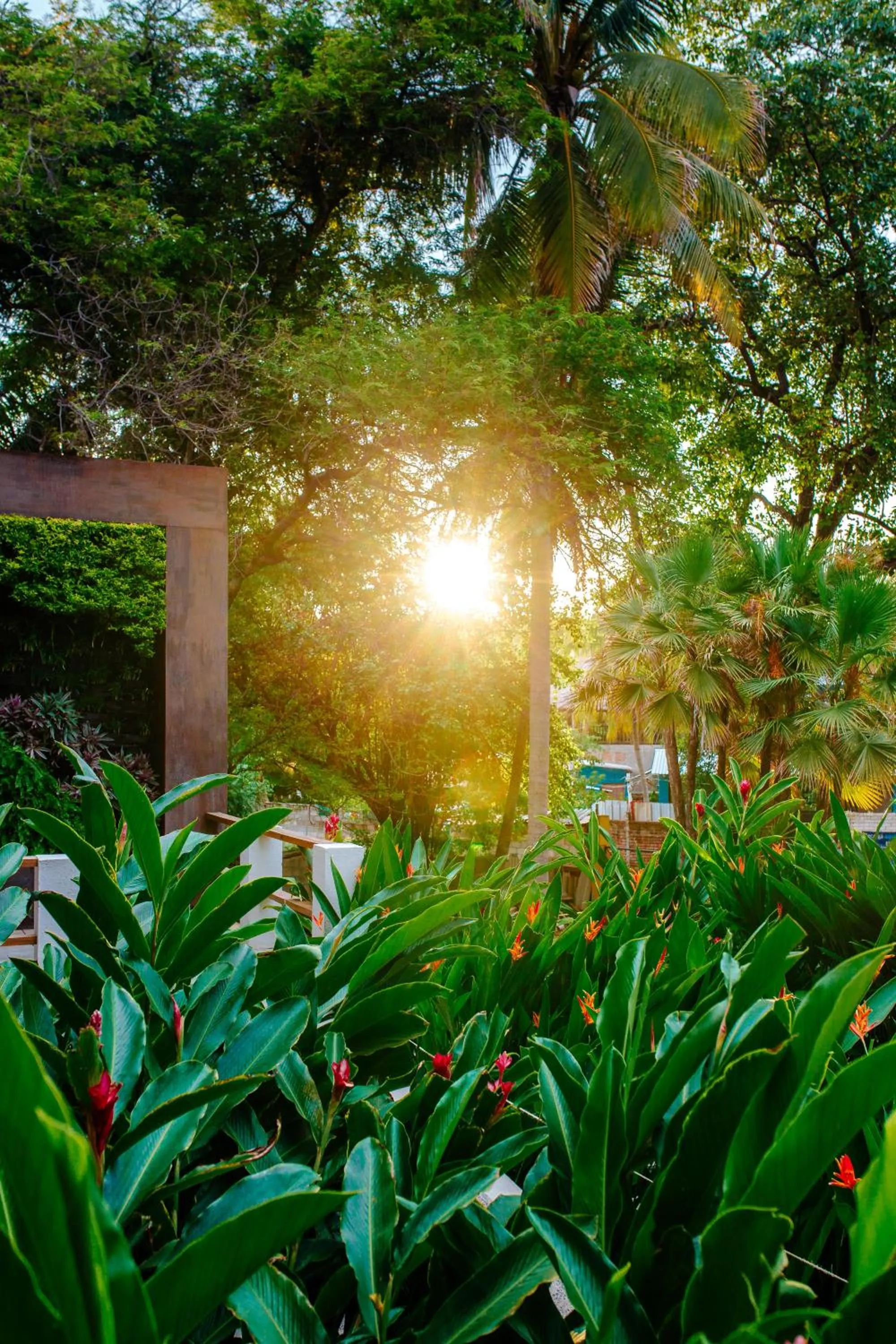 Garden in Palo Verde Sustainable Hotel