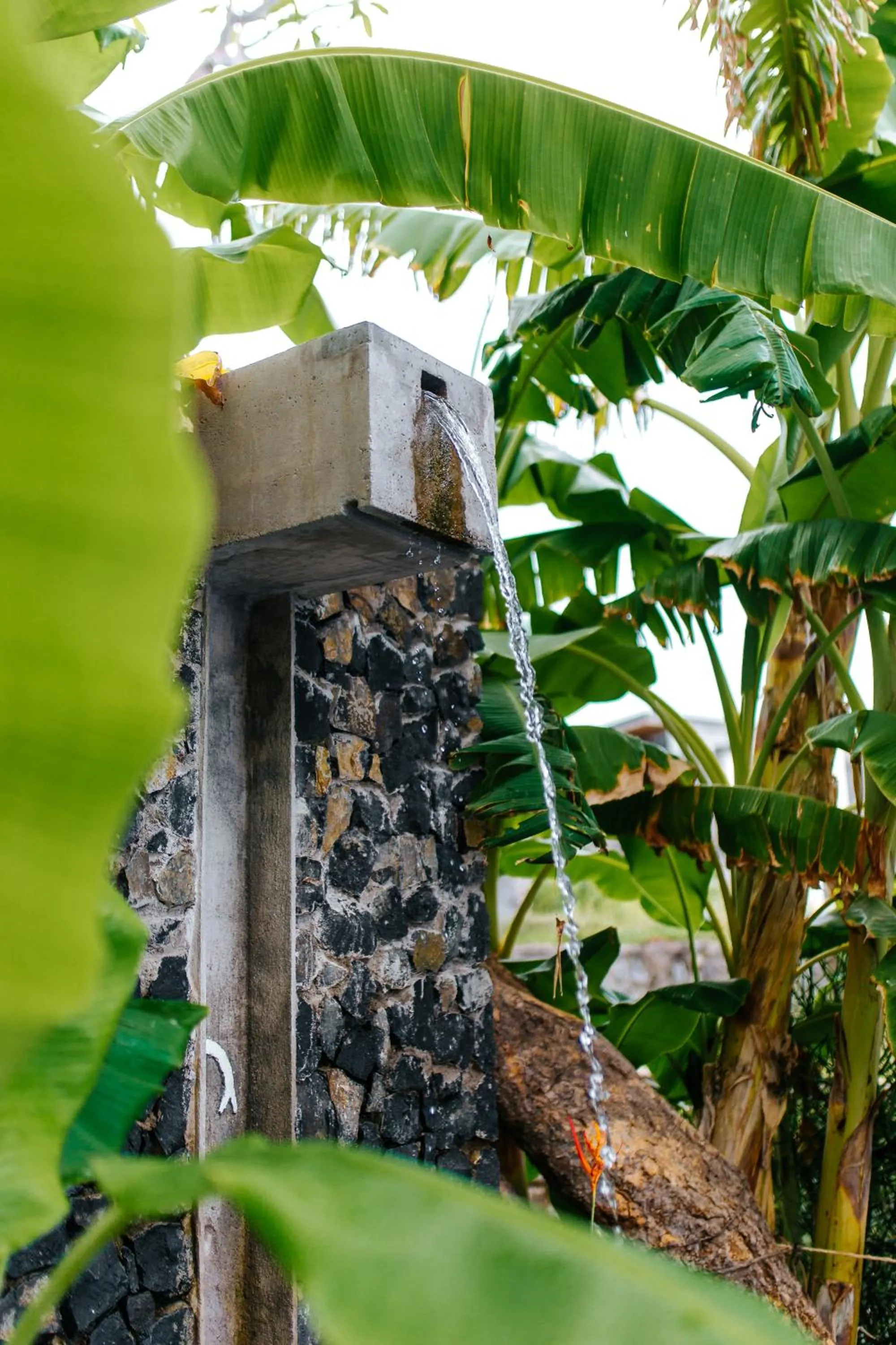 Garden in Palo Verde Sustainable Hotel