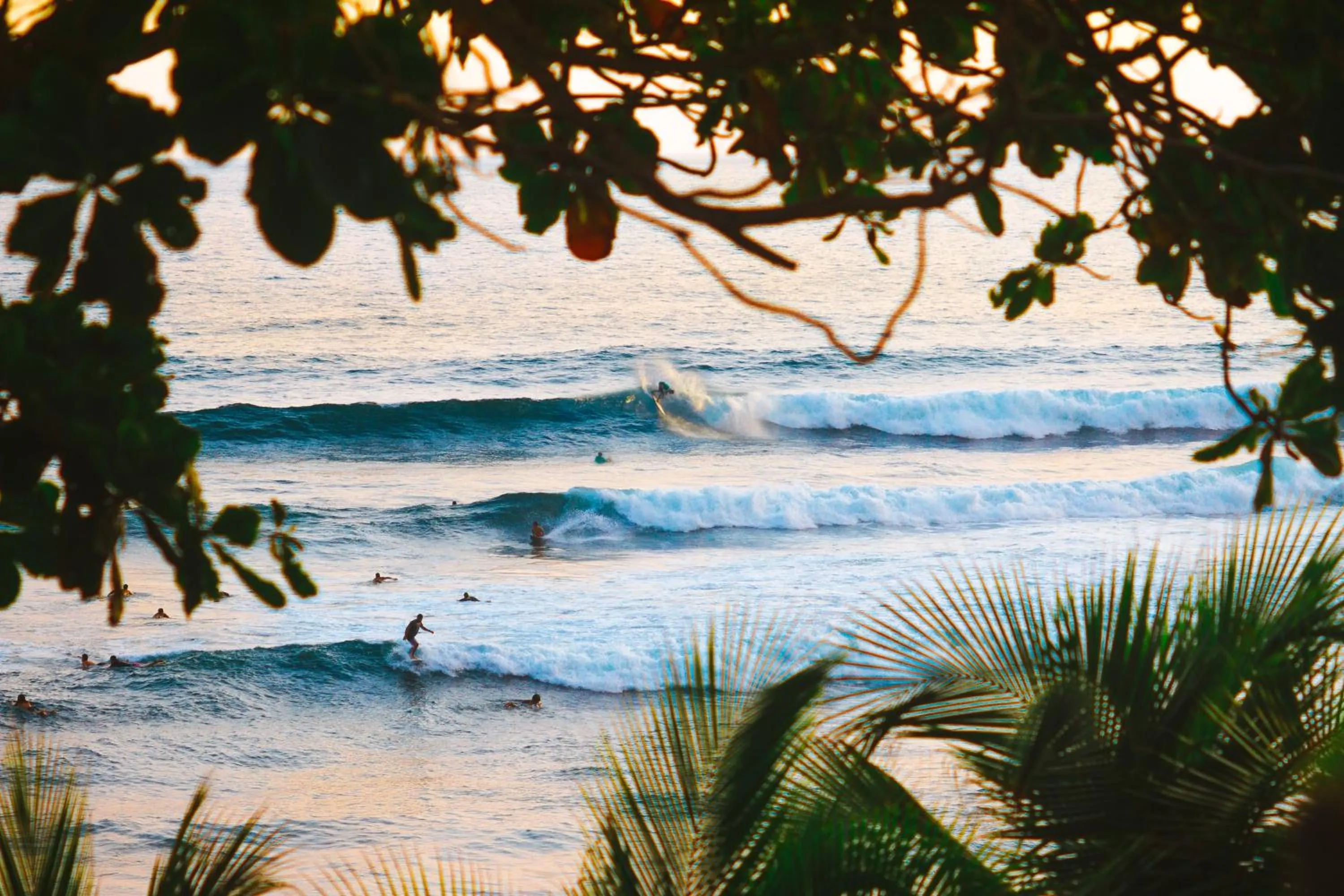 Beach in Palo Verde Sustainable Hotel