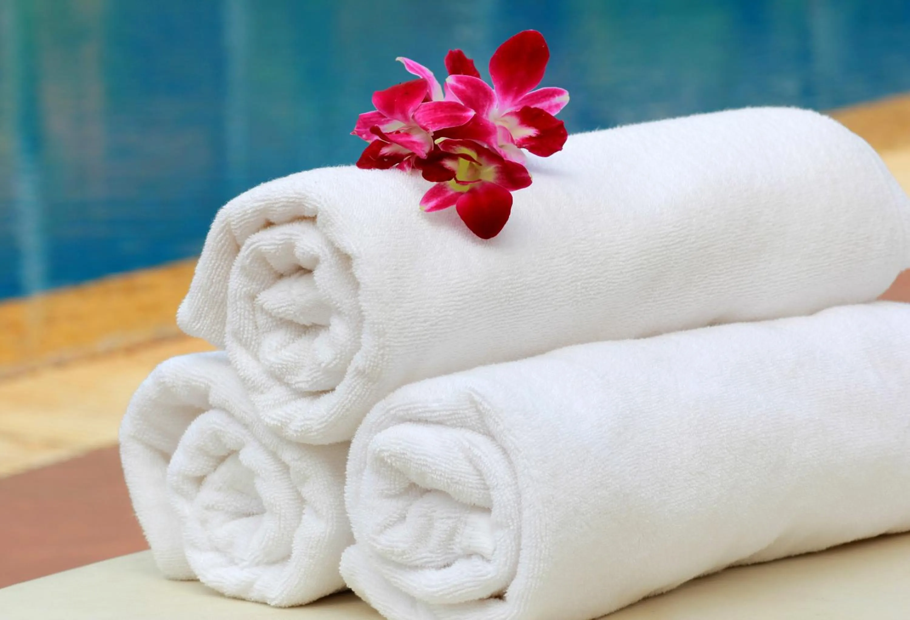 Other in Angkor Hotel