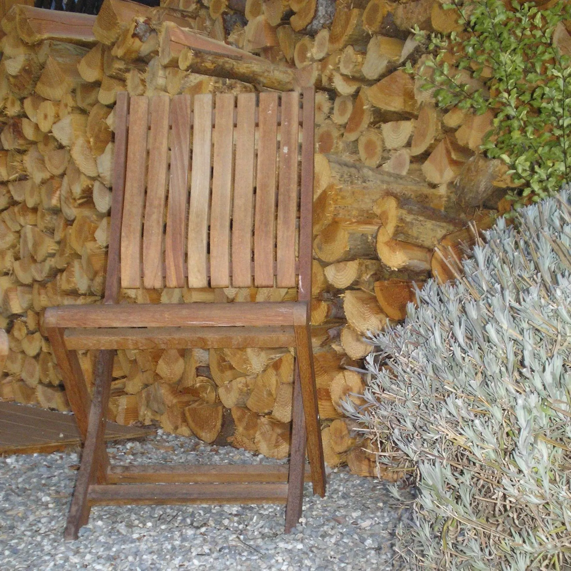 Garden in Peak Sport Chalet