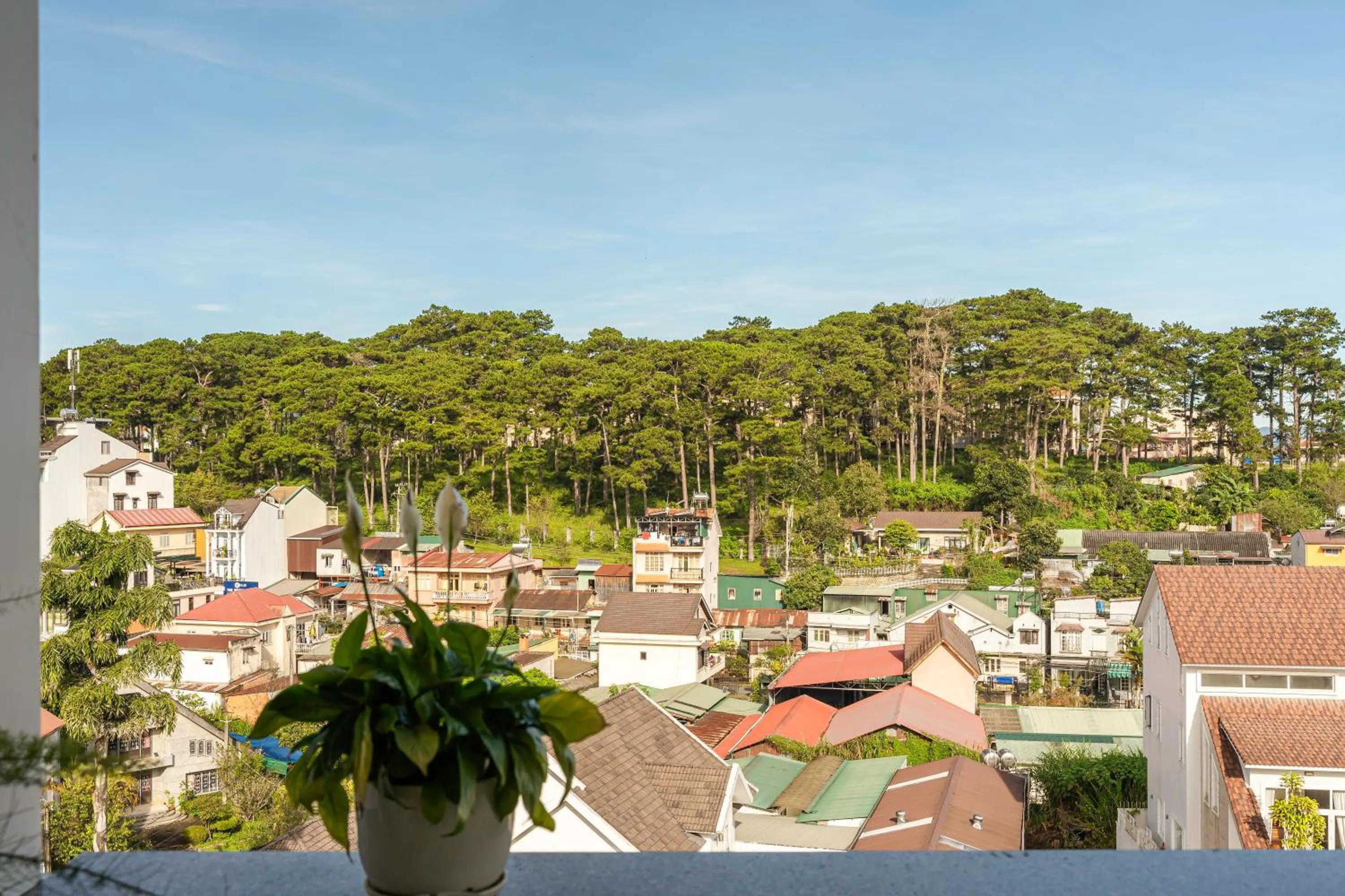 Natural landscape in Minh Chien Hotel