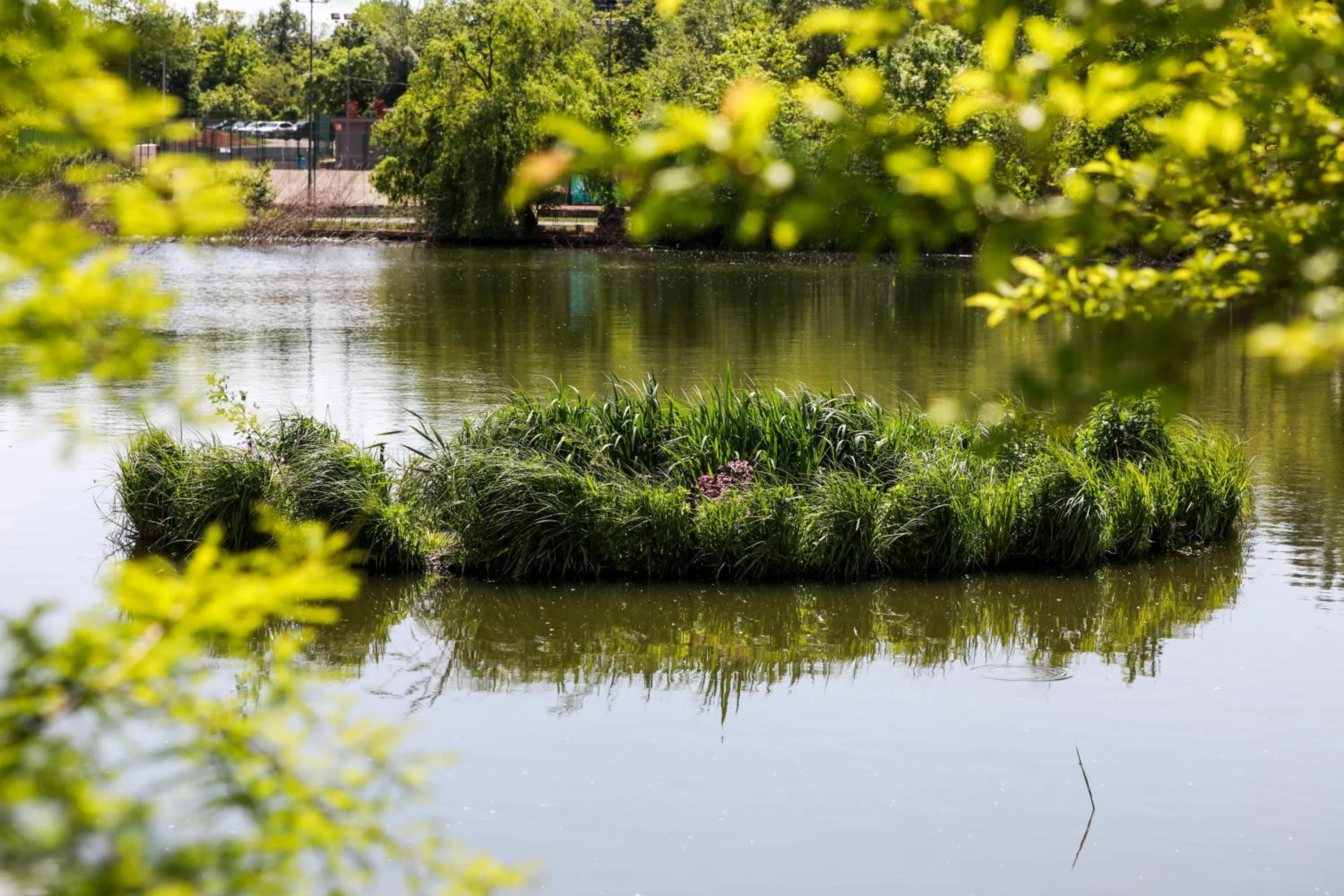 Natural landscape in Caro Hotel