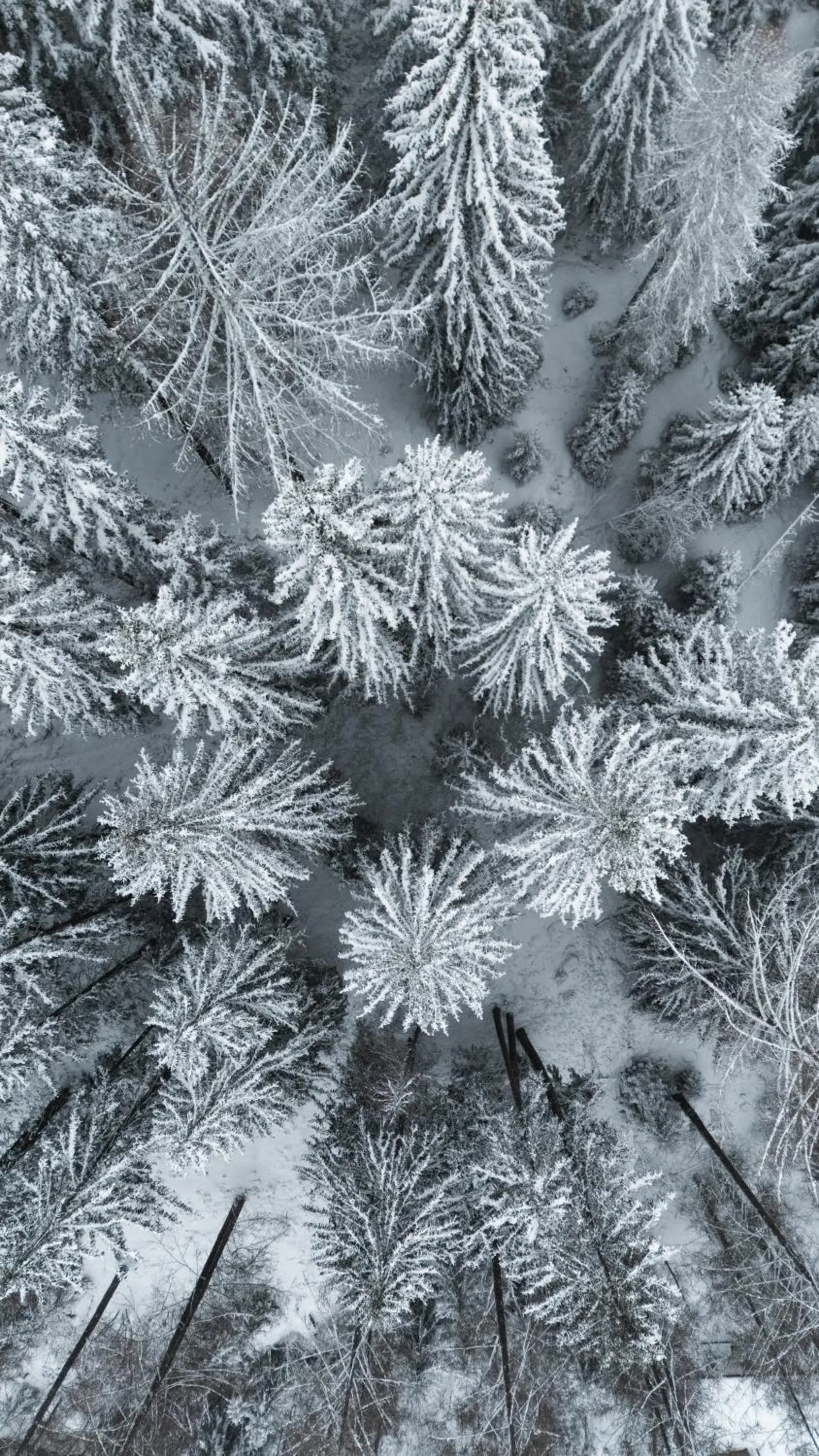 Property building in ARPURIA l 4 Star Superior l Adults Only