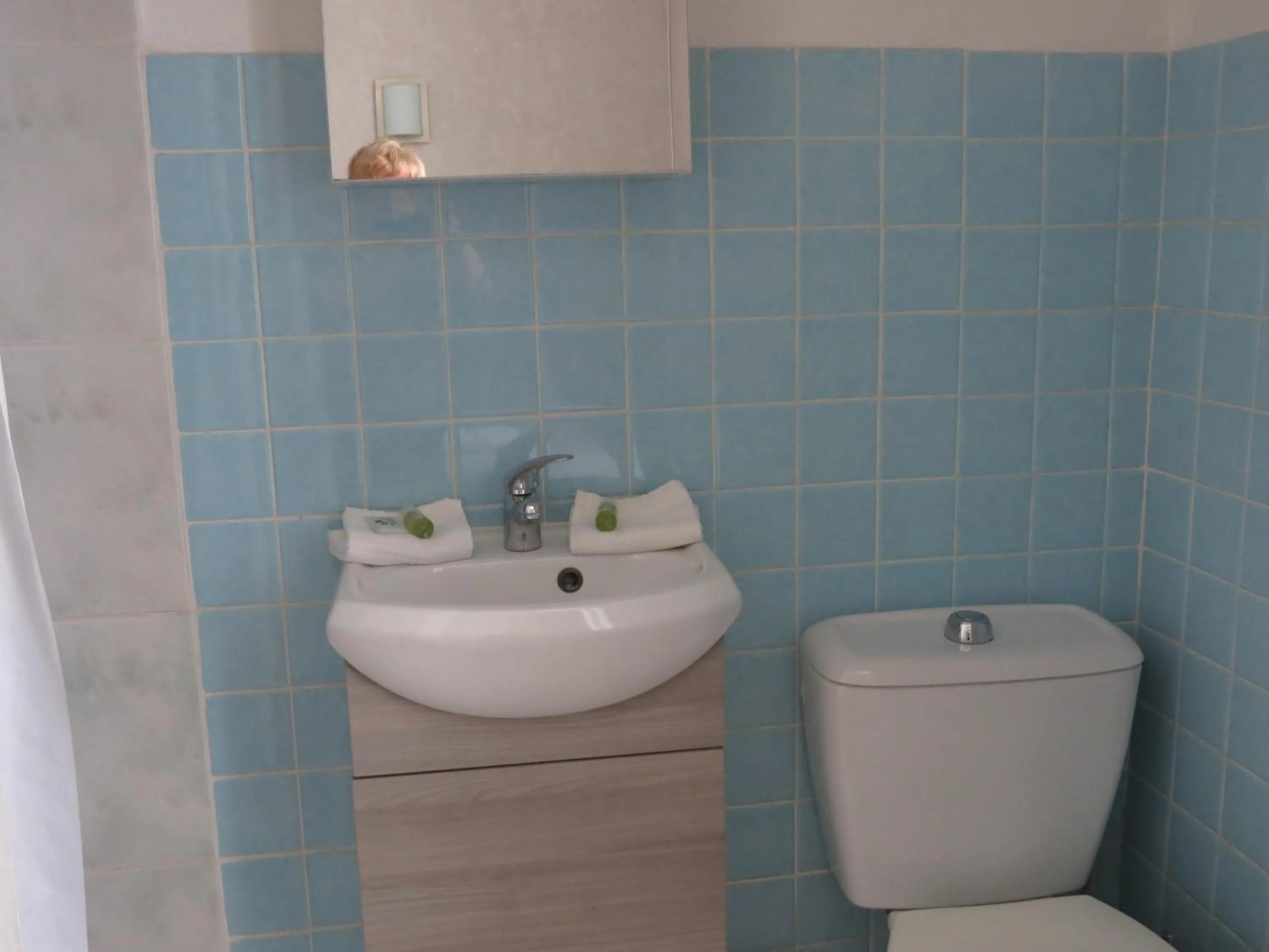 Bathroom in Hotel Au Petit Béarn