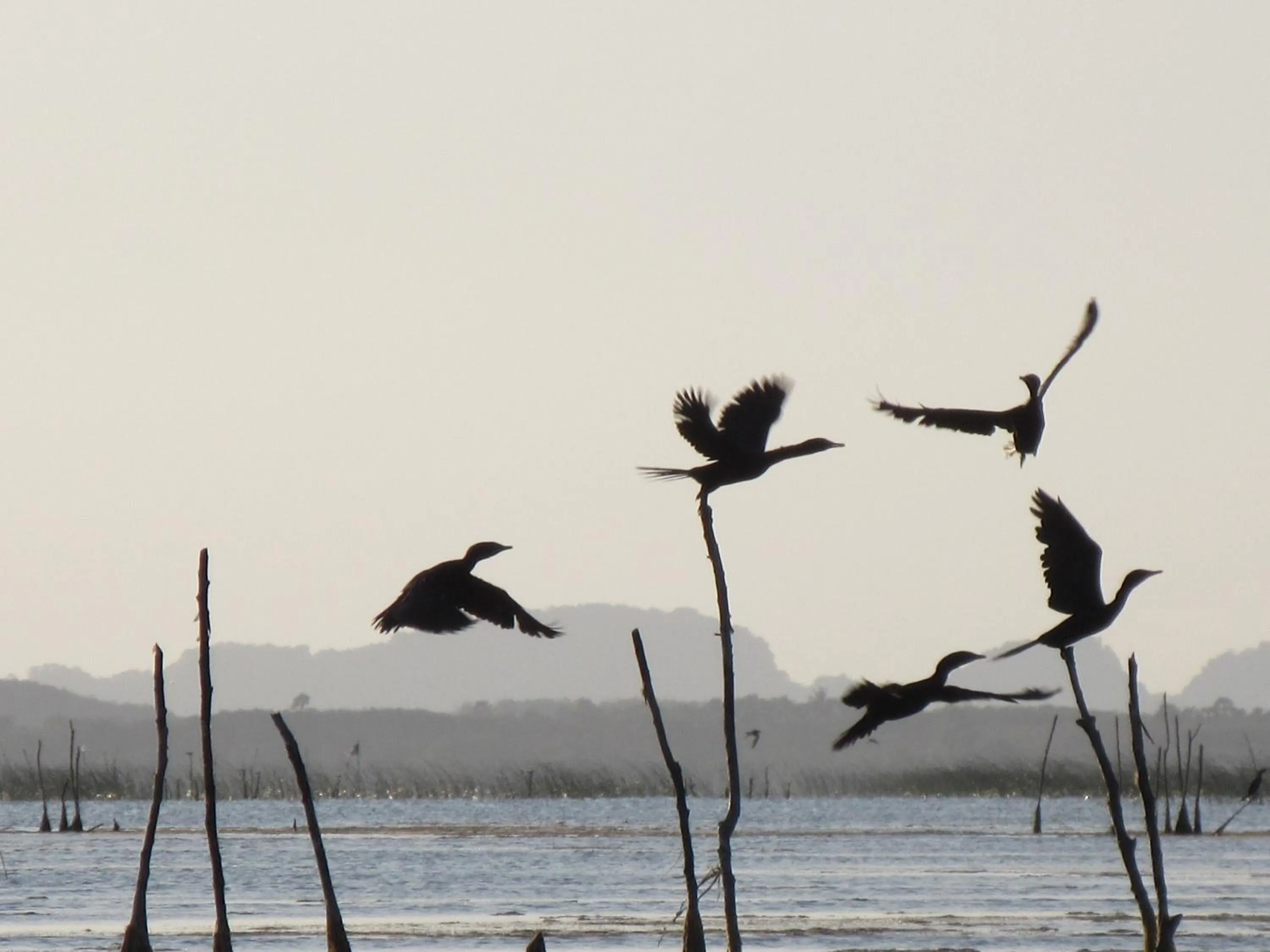 Natural landscape in Ao Thai Resort