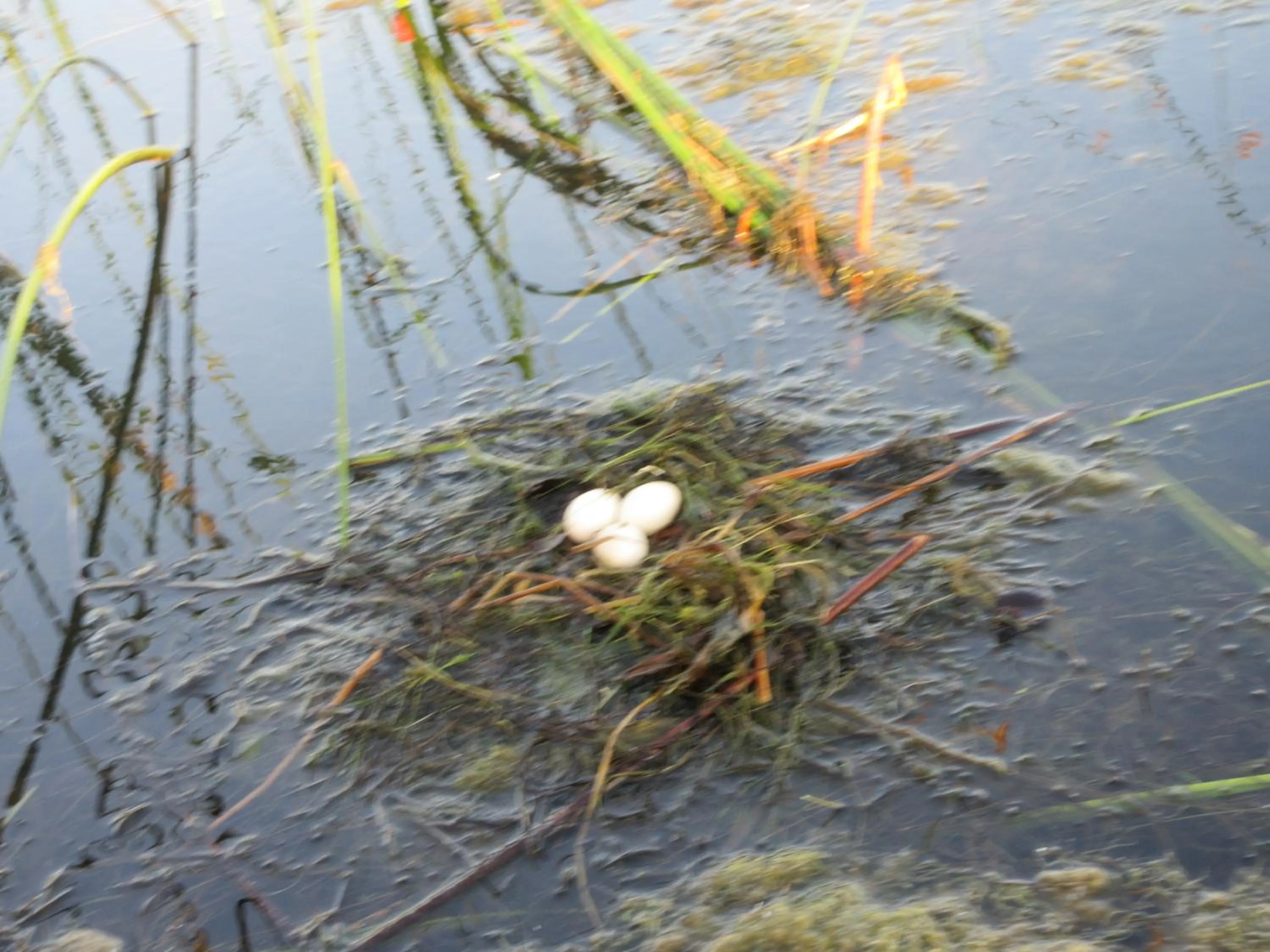 Natural landscape in Ao Thai Resort