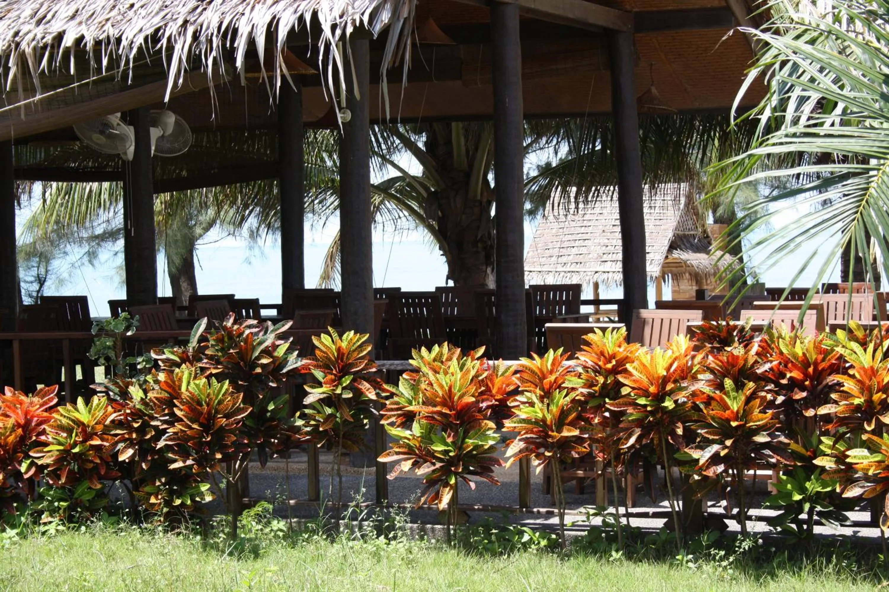 Restaurant/places to eat in Ao Thai Resort