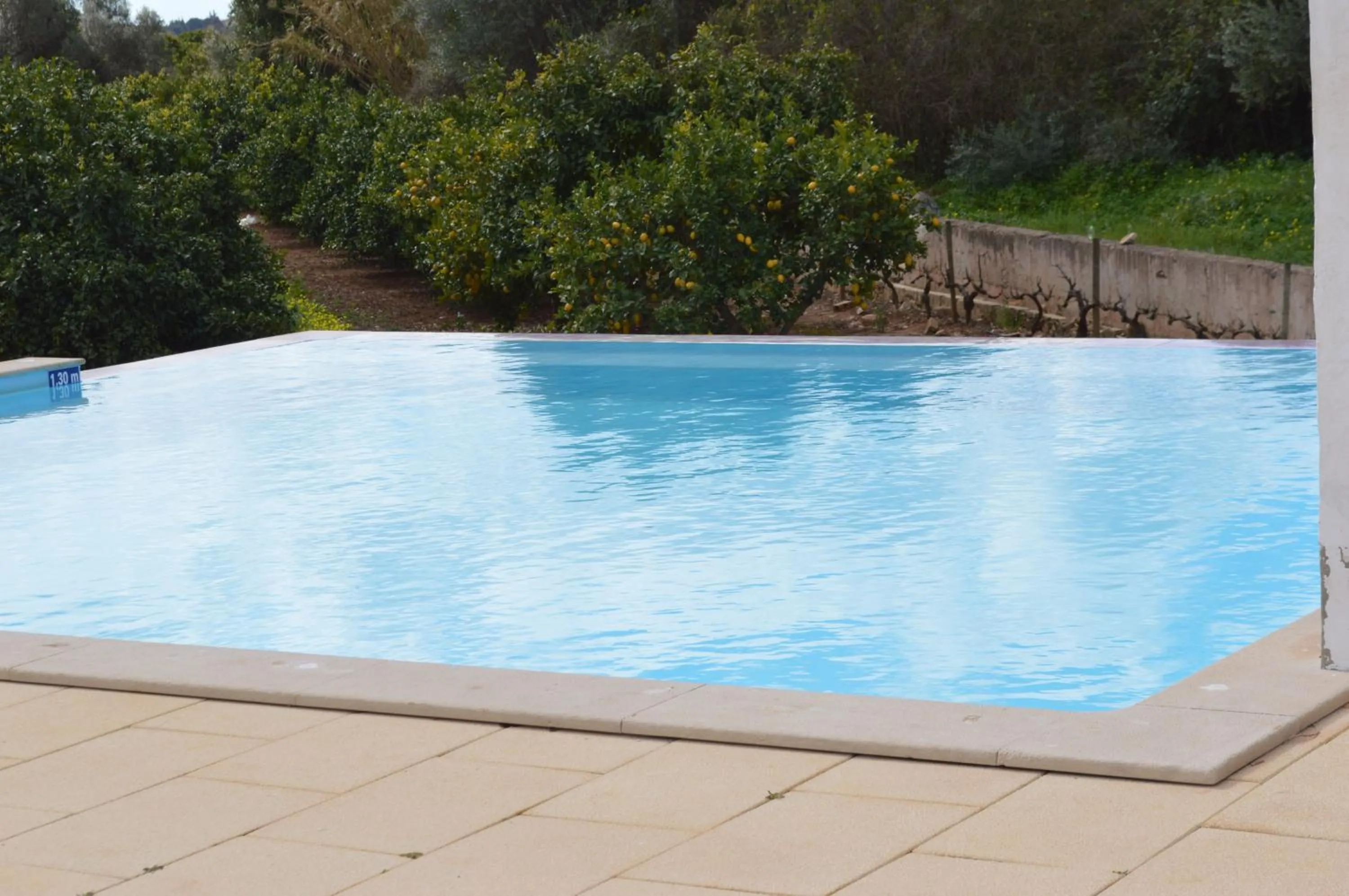 View (from property/room) in Quinta da Mesquita