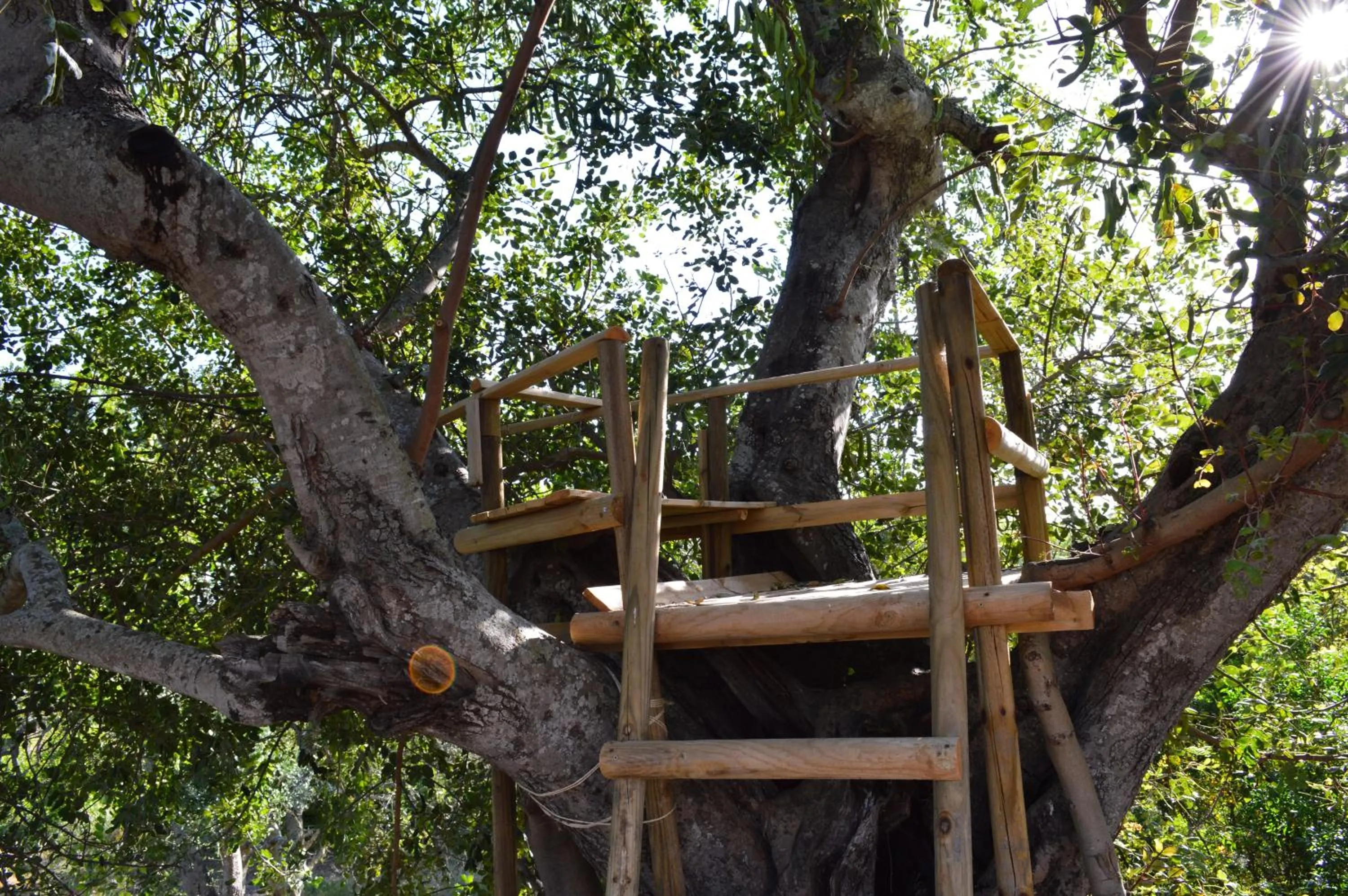 Children play ground in Quinta da Mesquita