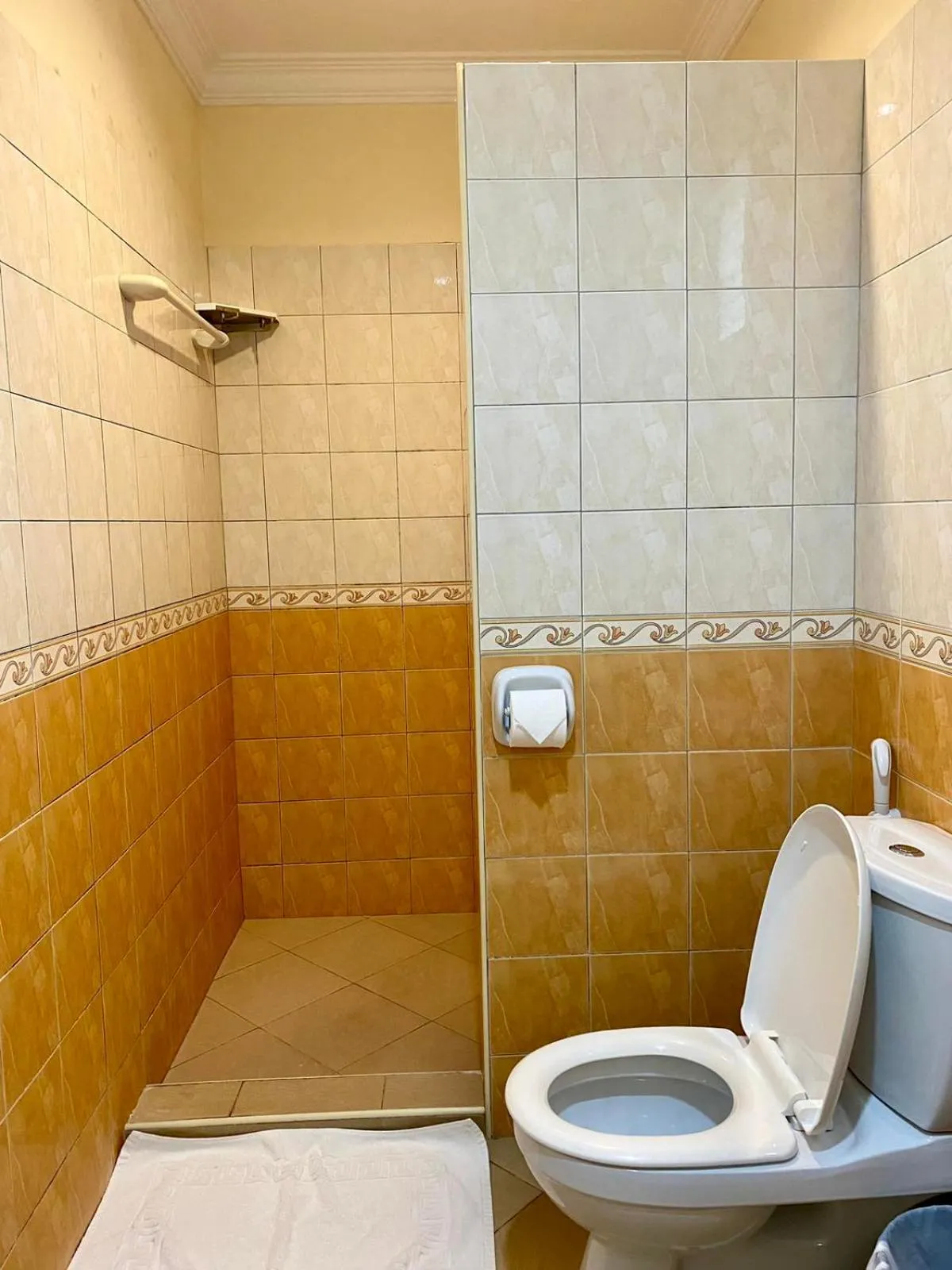 Toilet in Panglao Regents Park Resort