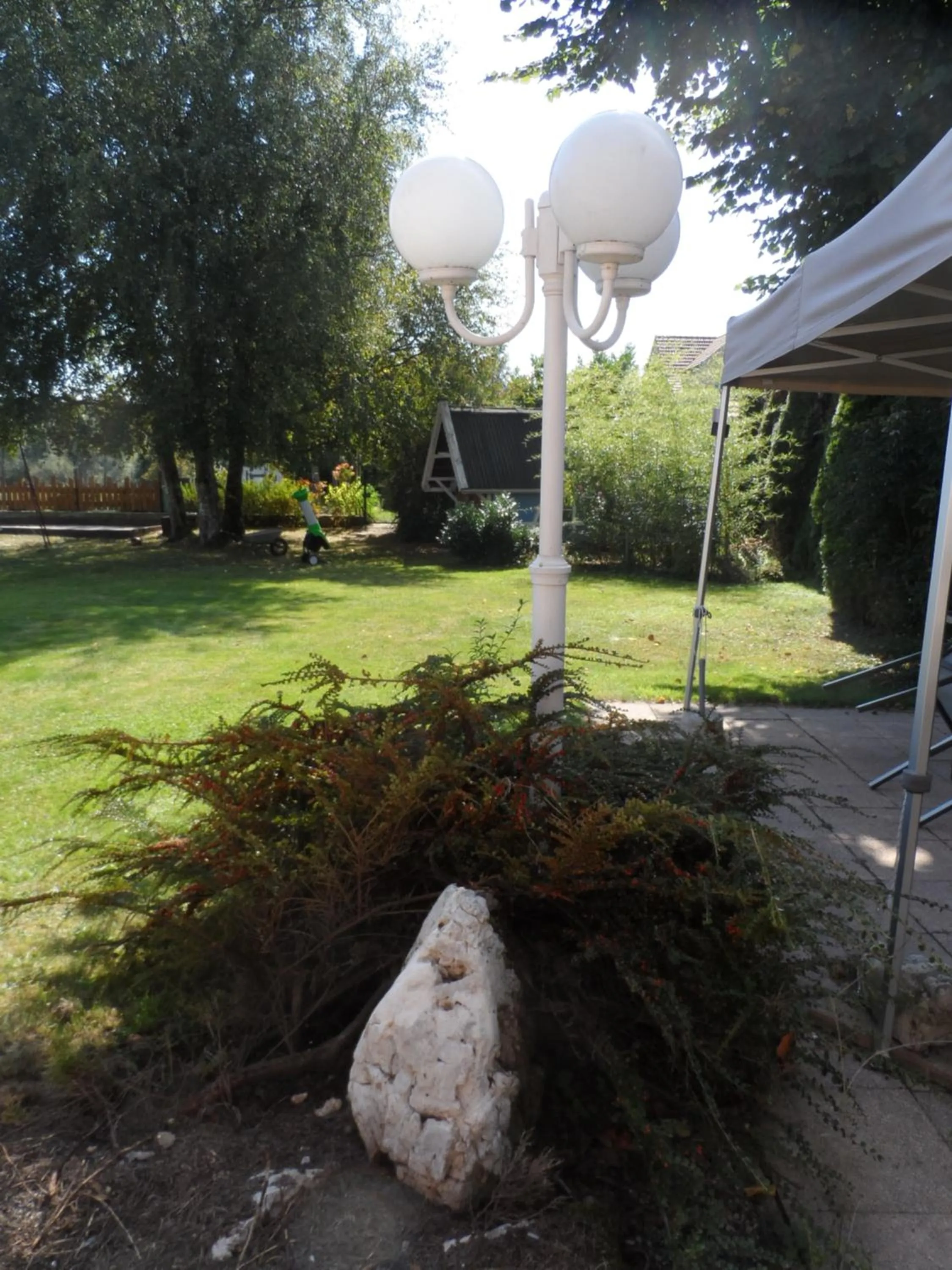 Garden in Maison Curiale