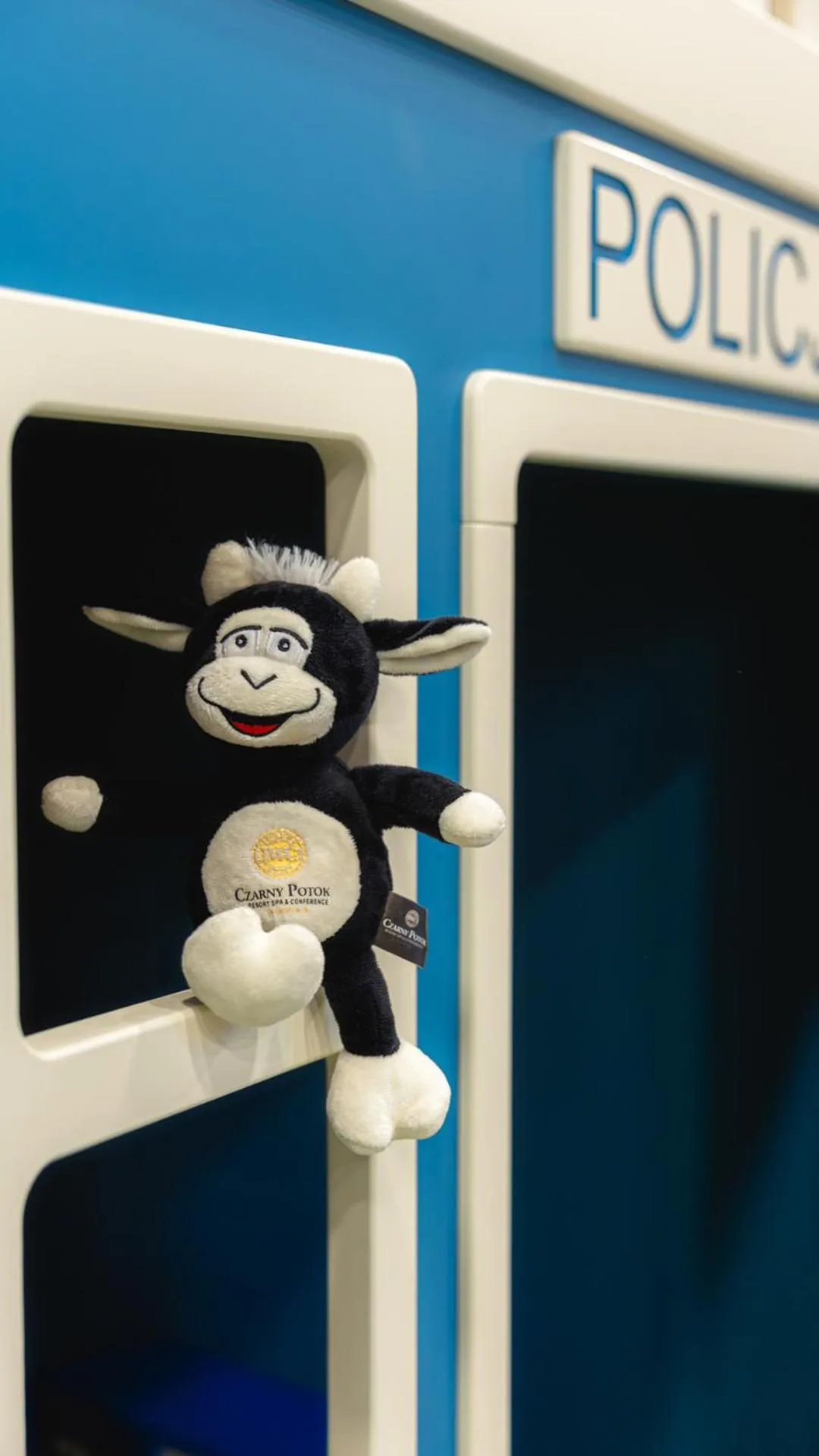 Children play ground in Hotel Czarny Potok Resort SPA & Conference