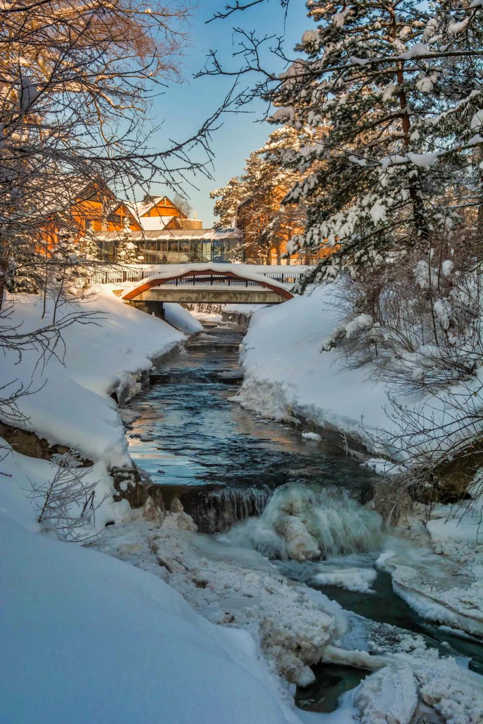 Natural landscape in Hotel Czarny Potok Resort SPA & Conference