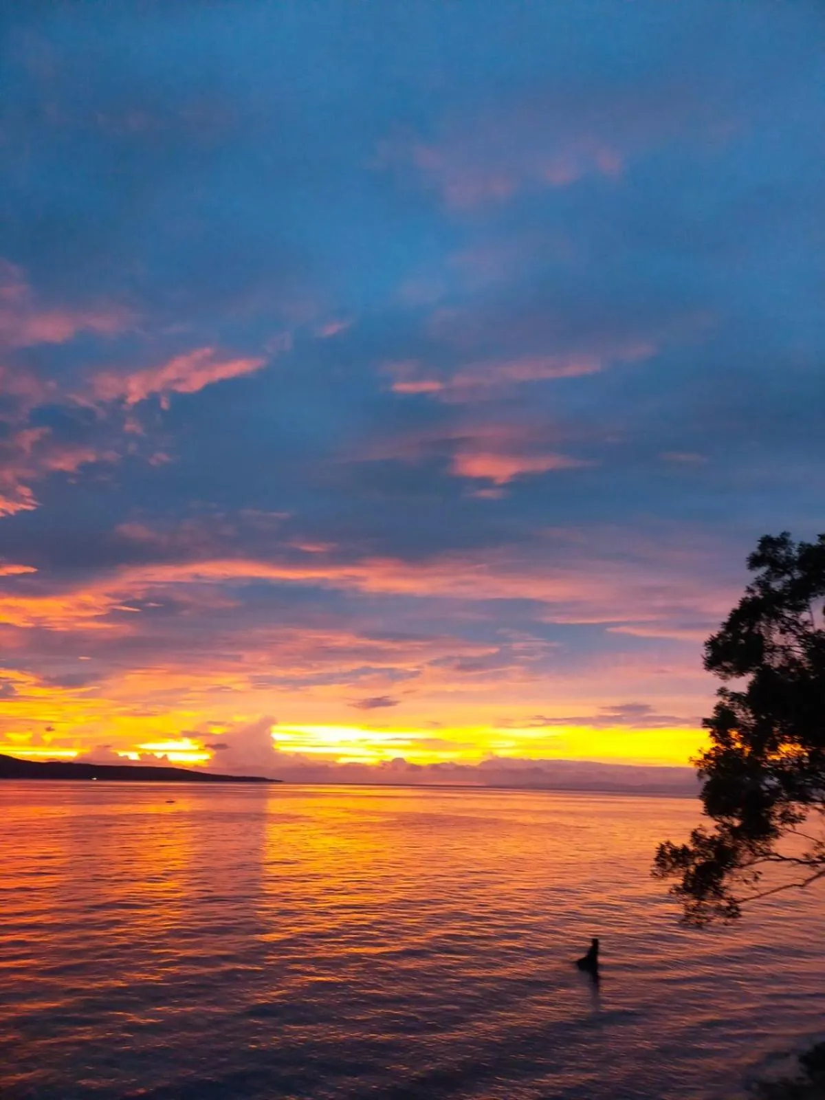 Natural landscape in Wuthering Heights Bed & Breakfast by the Sea