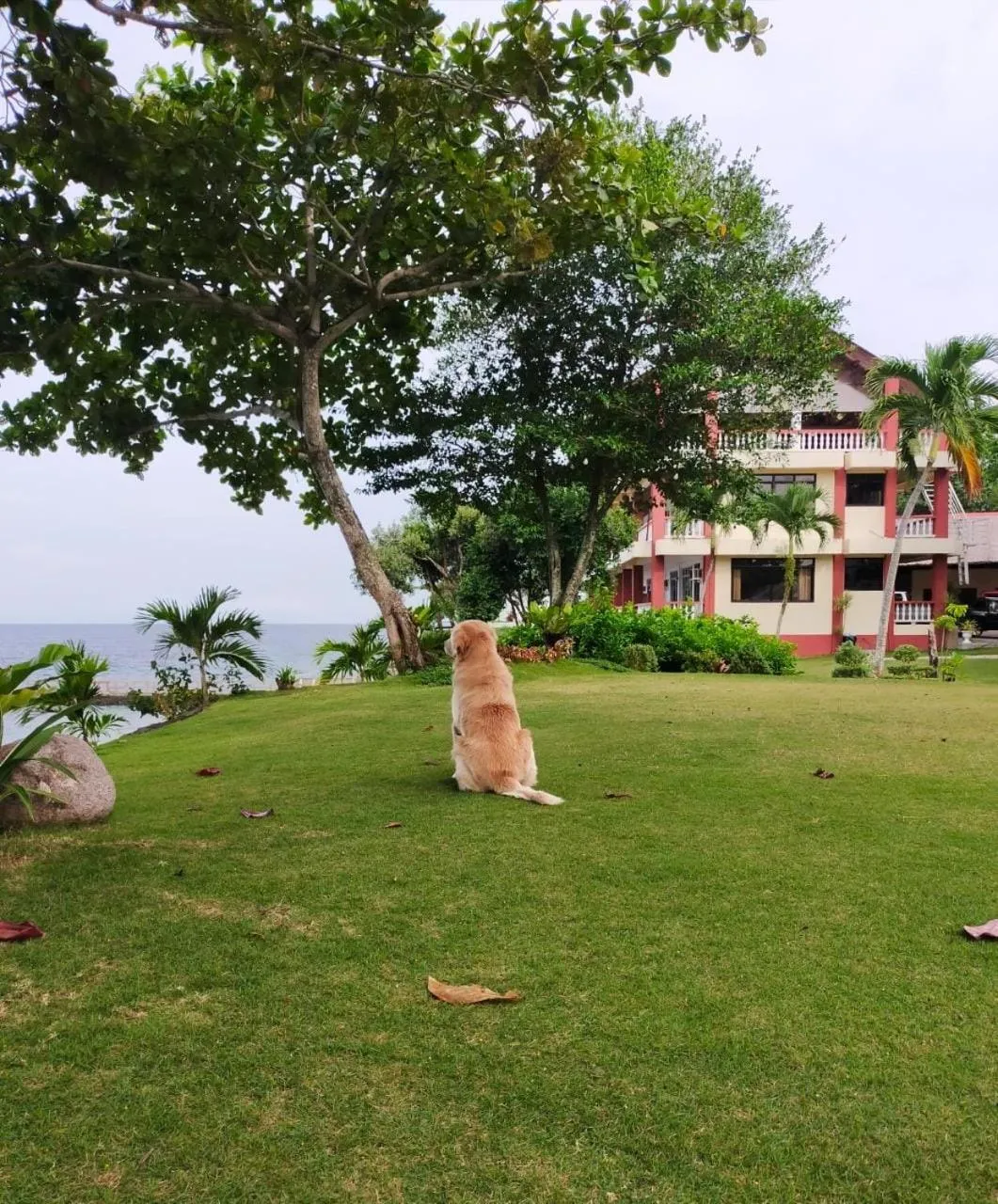 Day in Wuthering Heights Bed & Breakfast by the Sea