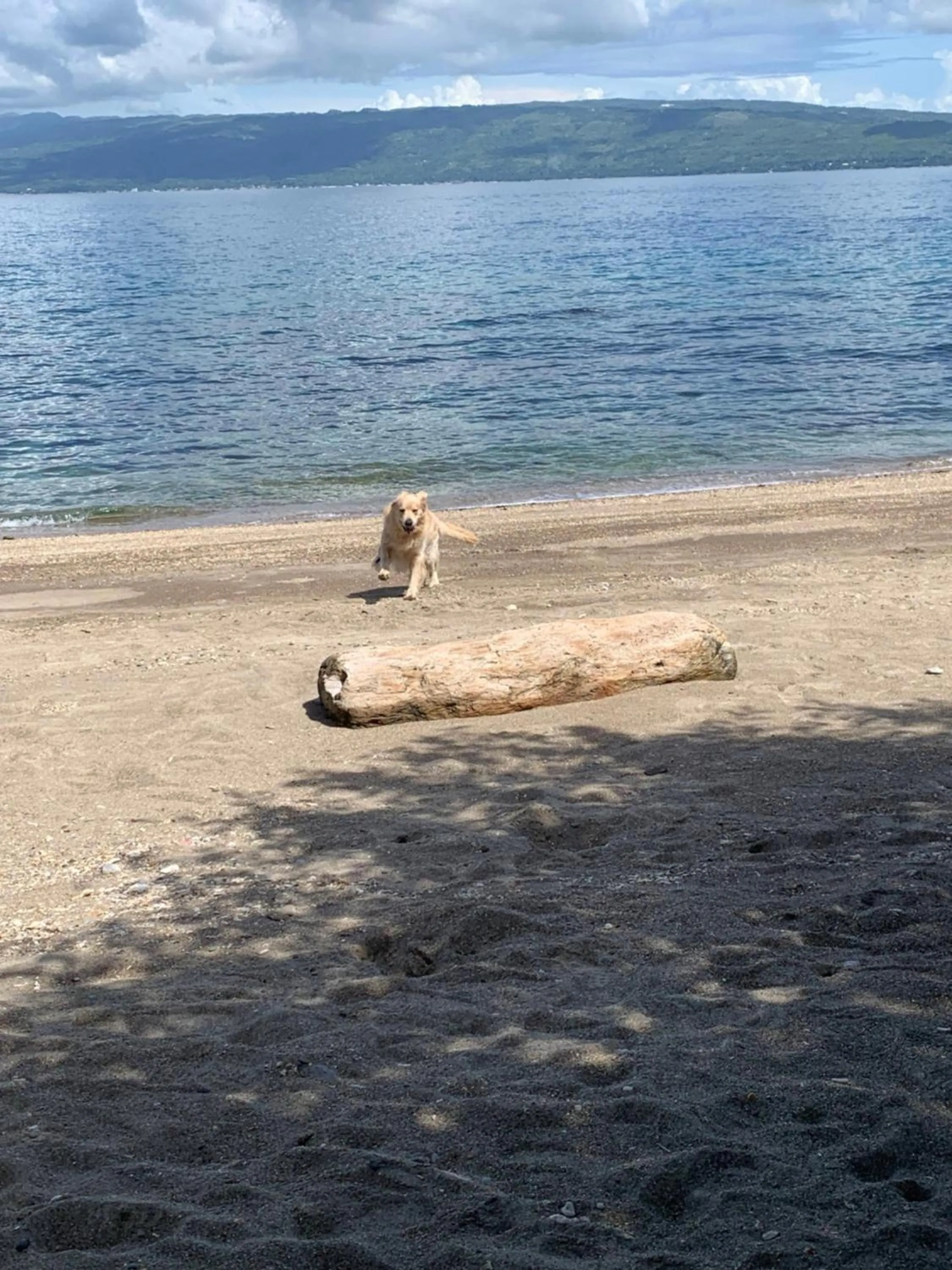 Beach in Wuthering Heights Bed & Breakfast by the Sea
