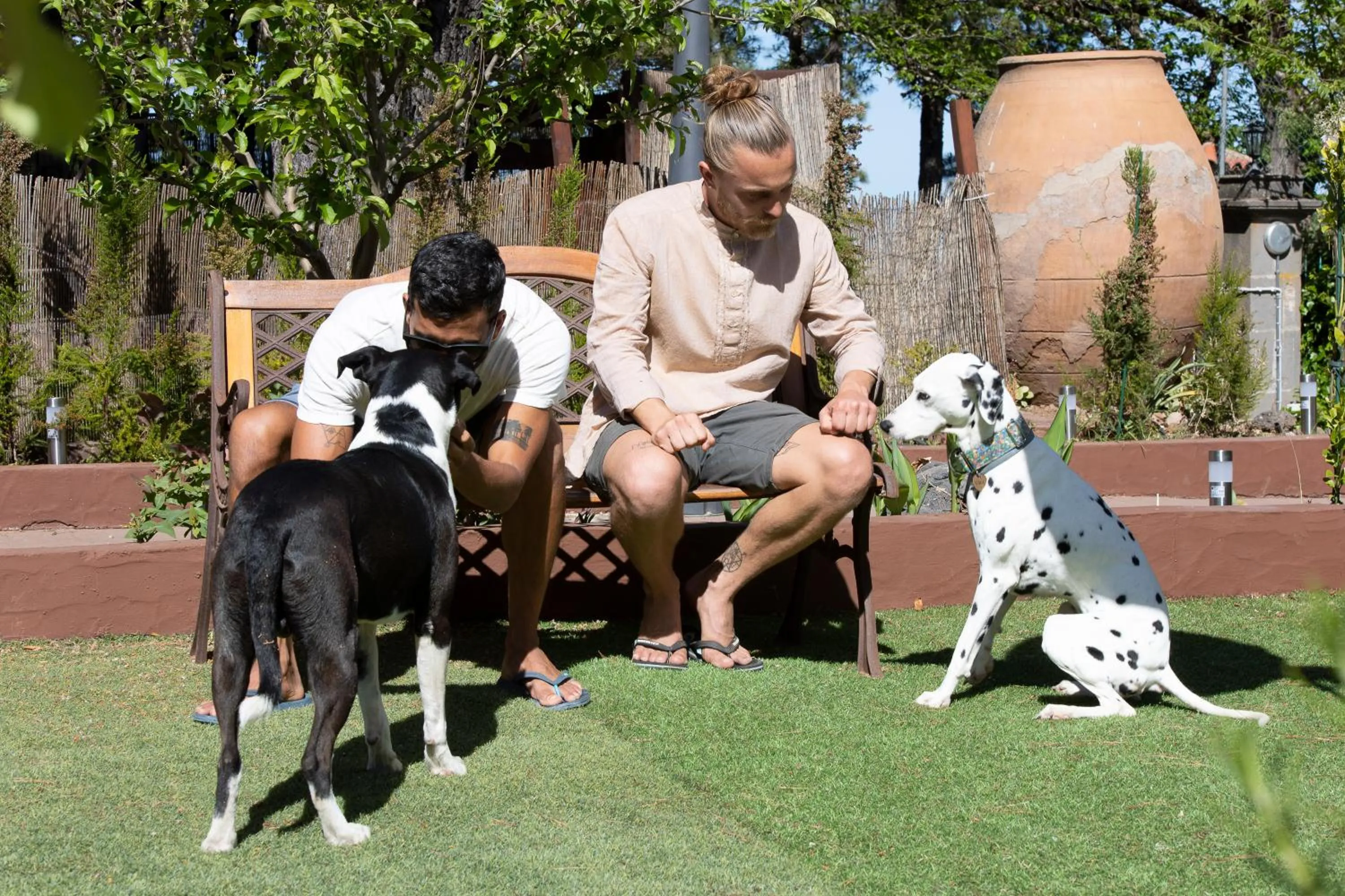 Pets in Hotel Rural El Refugio - Solo Adultos