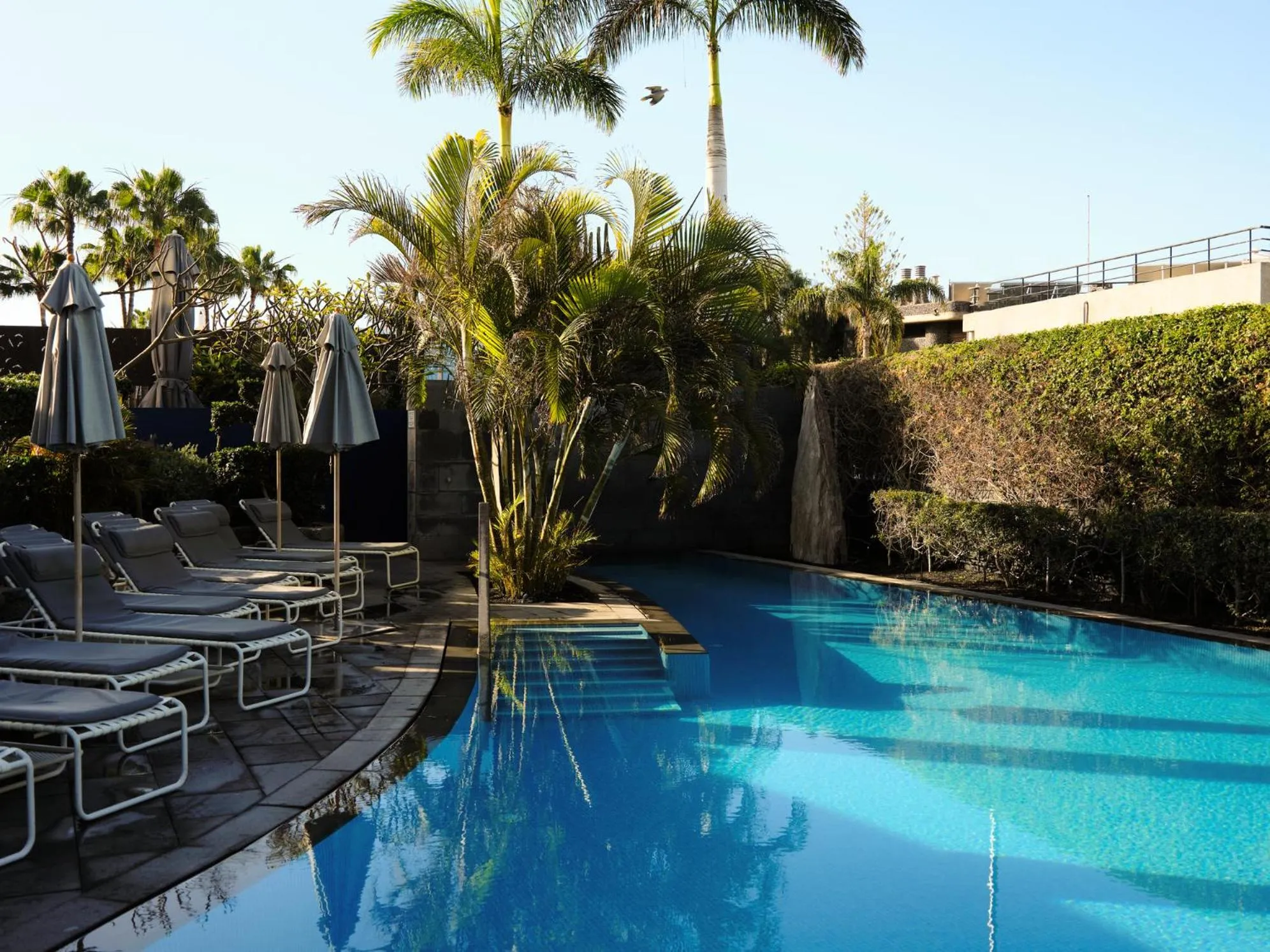 Swimming pool in Bohemia Suites & Spa - Adults Only