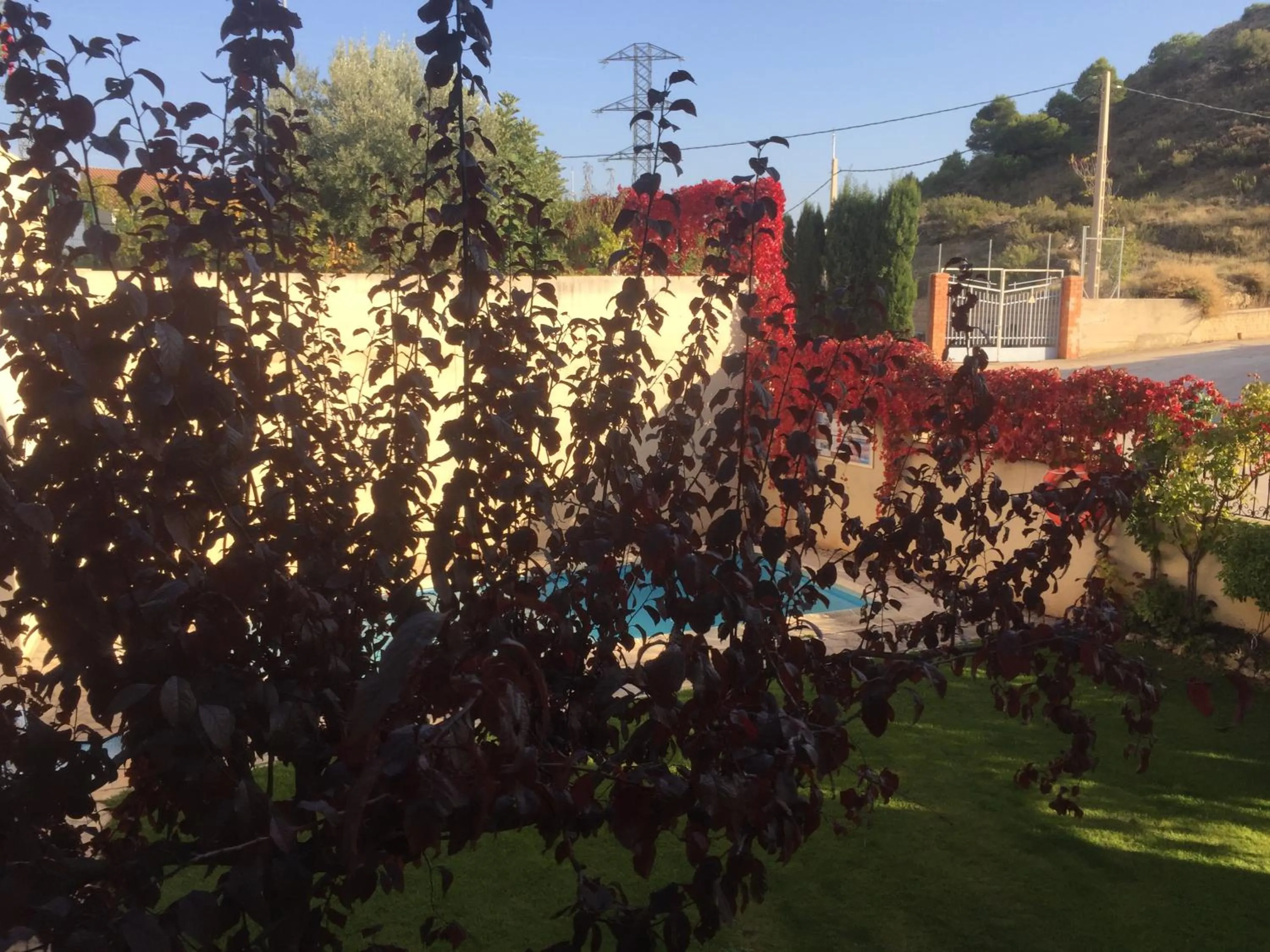 Garden in Hotel Castellote