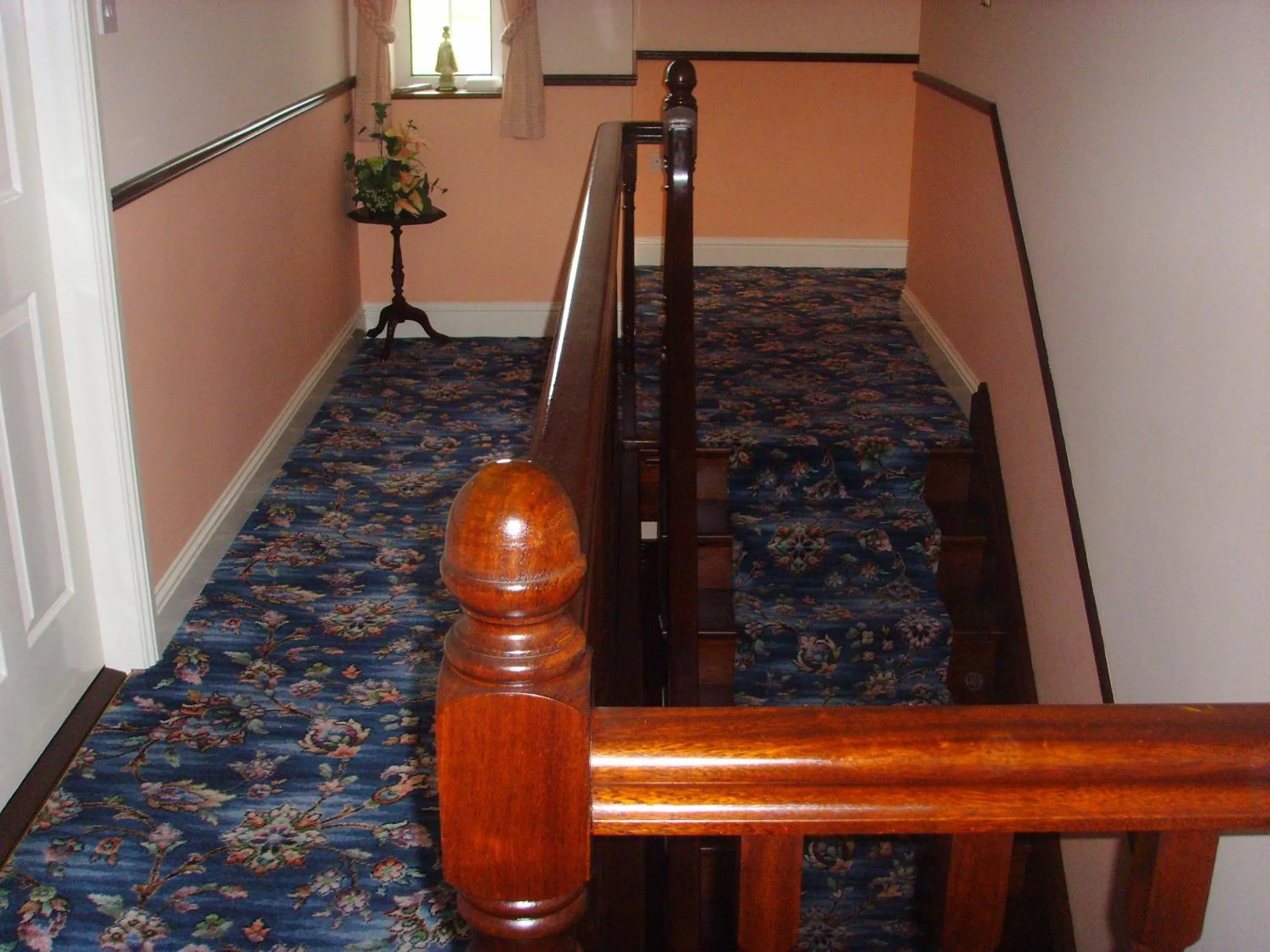 View (from property/room) in Springfield House B&B