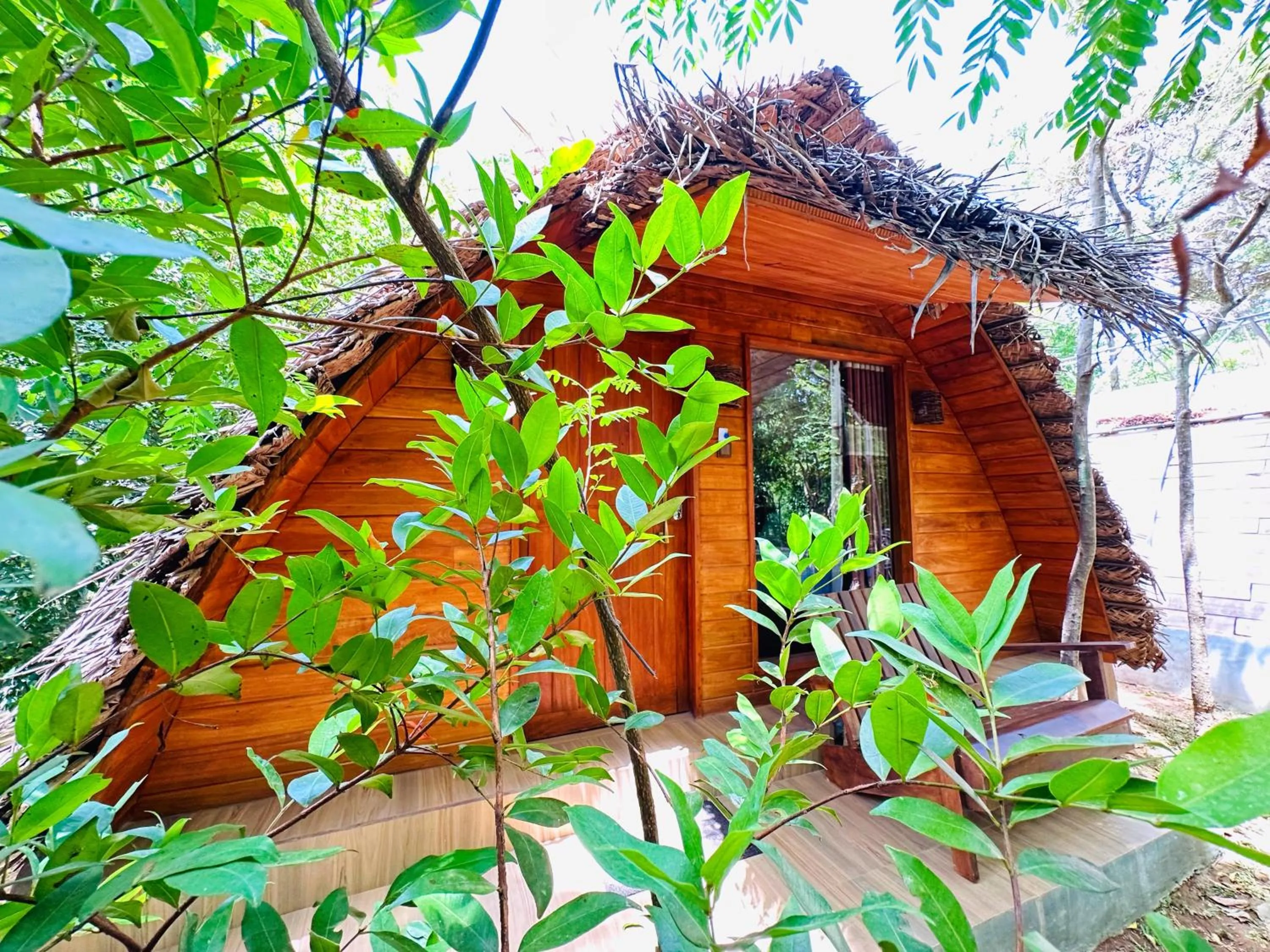 Property building in Palmyra Nature Resort Sigiriya