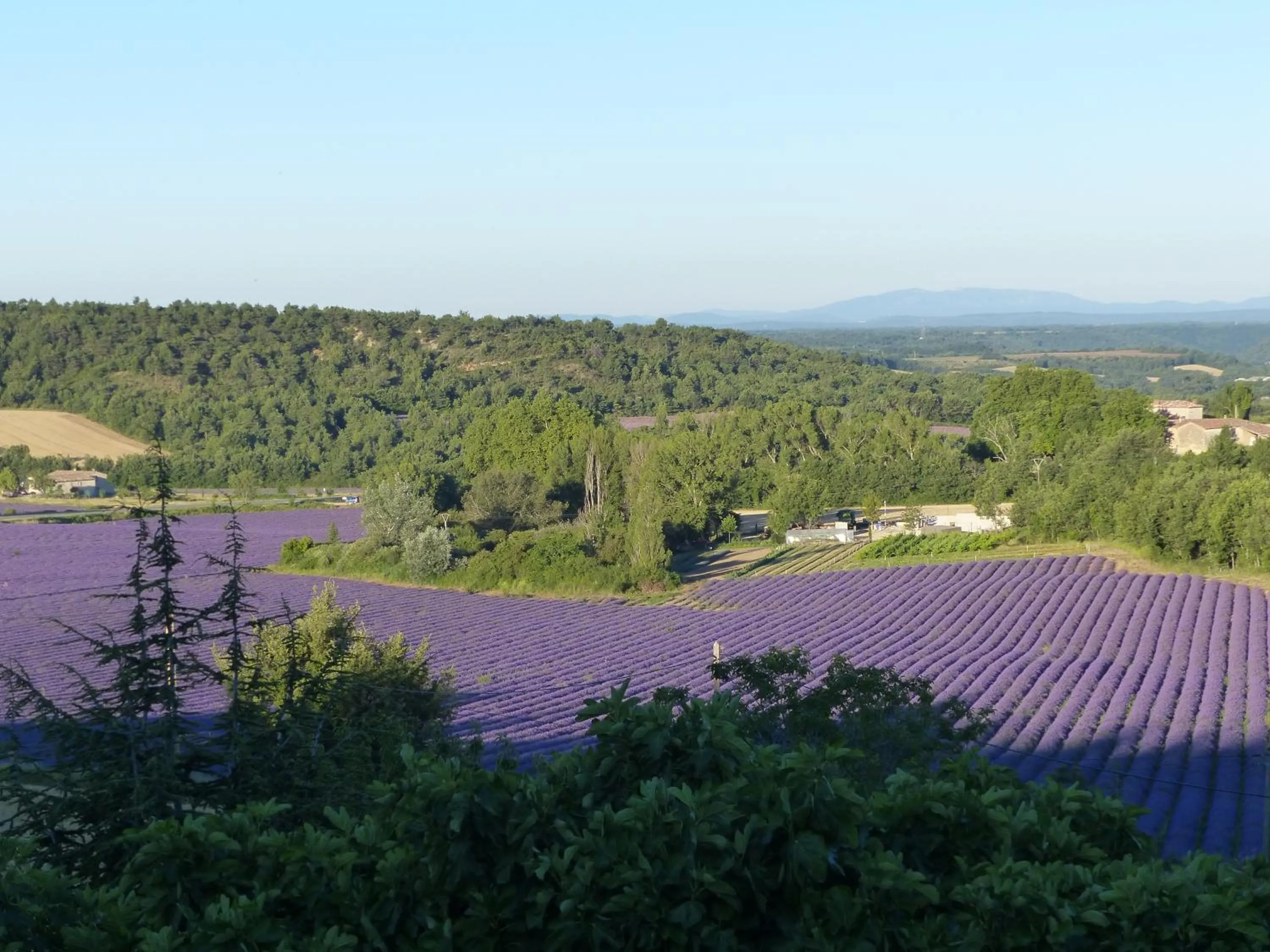 View (from property/room) in La Ferme du petit Ségriès Bed and Breakfast