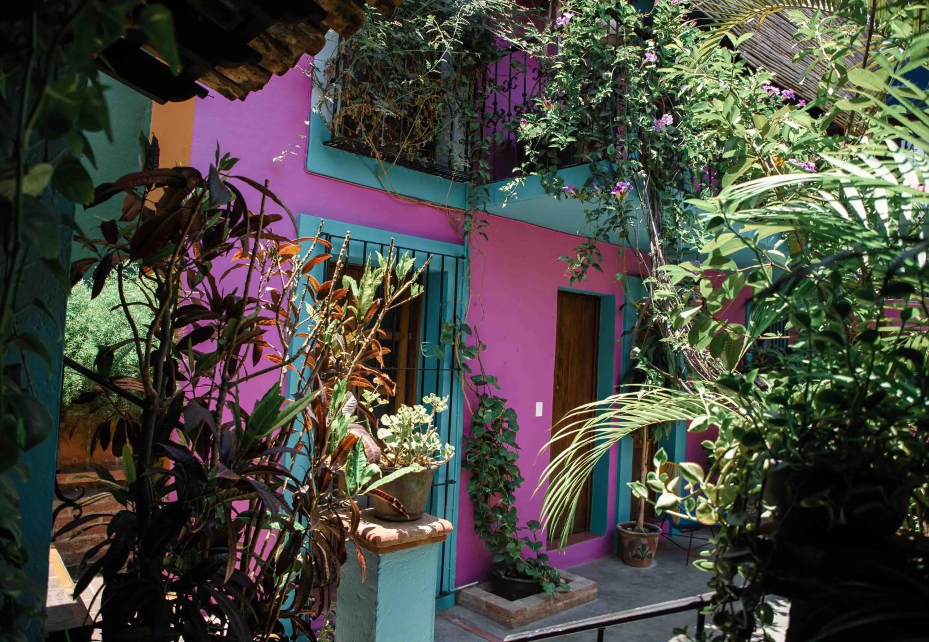 Garden in Hotel Las Golondrinas