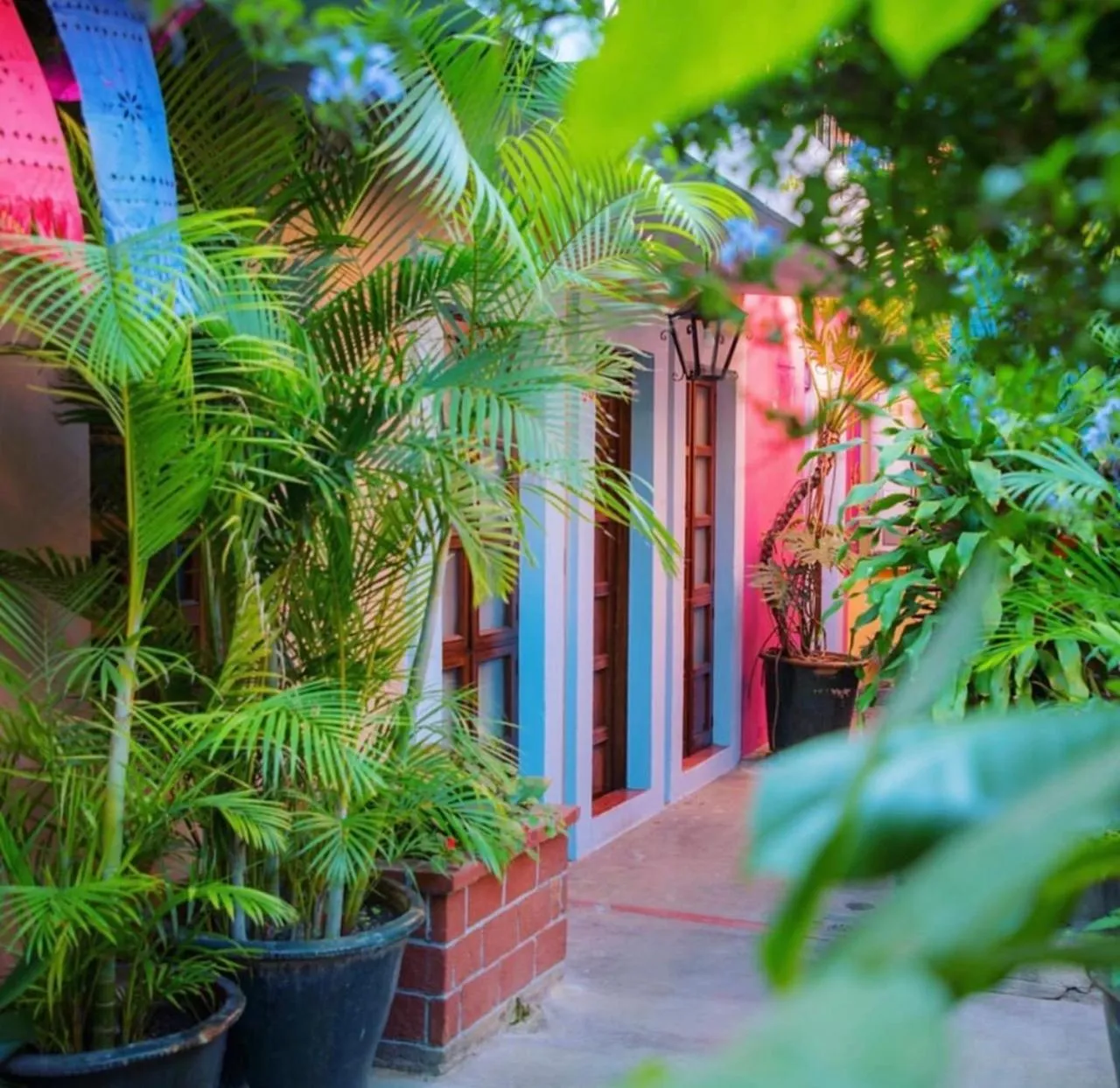 Patio in Hotel Las Golondrinas