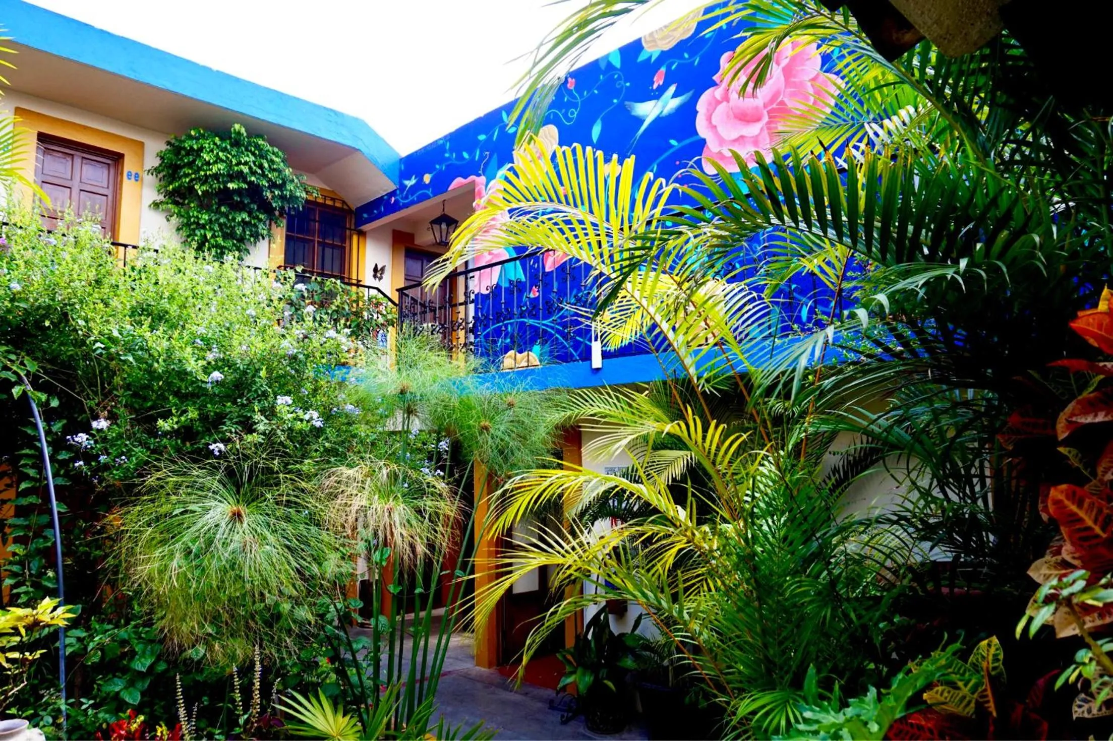 Property building in Hotel Las Golondrinas