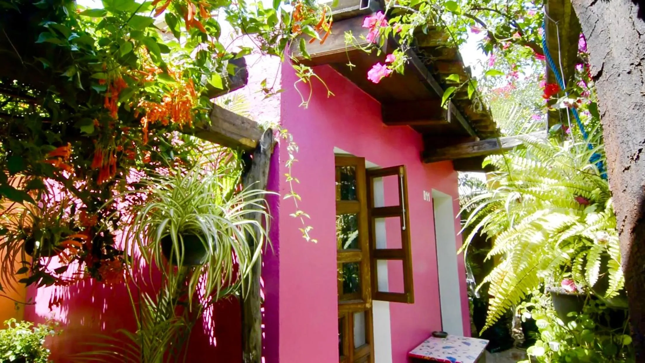 Other in Hotel Las Golondrinas