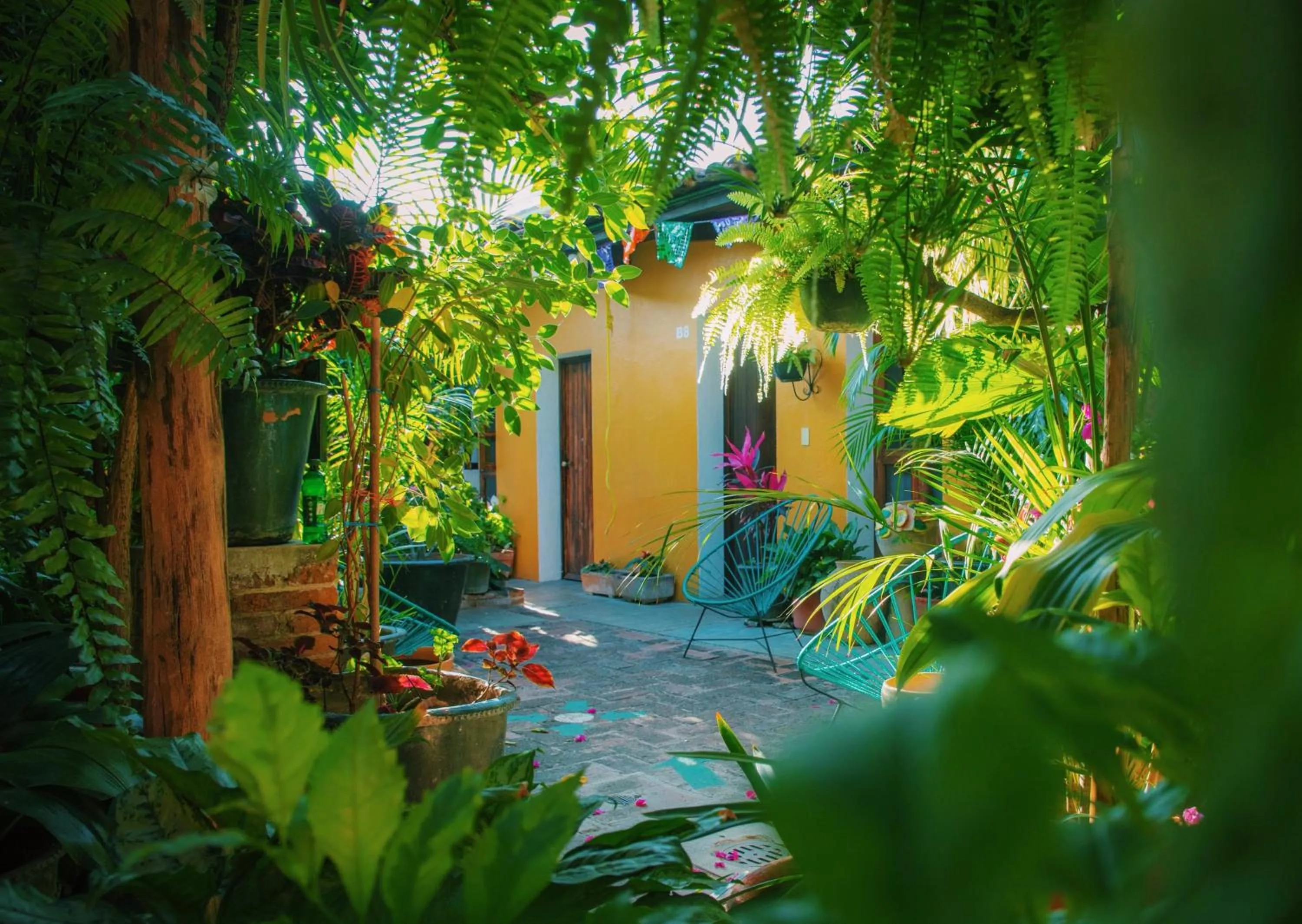 Patio in Hotel Las Golondrinas