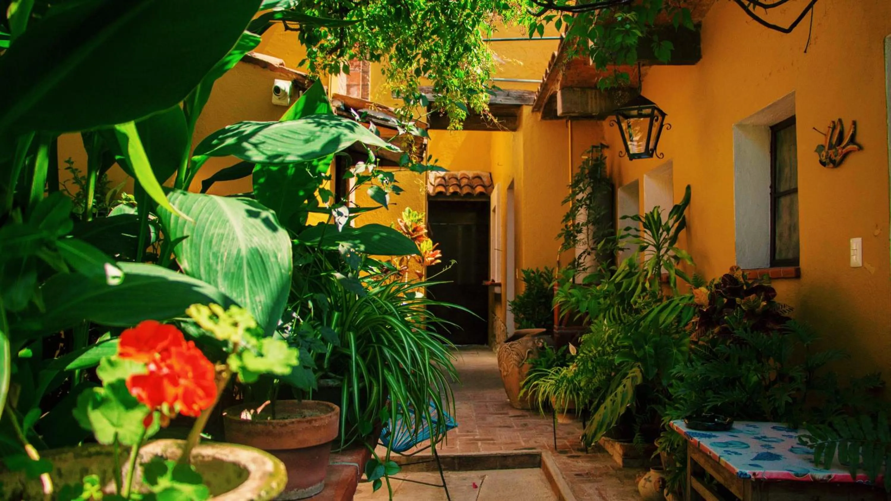 Patio in Hotel Las Golondrinas
