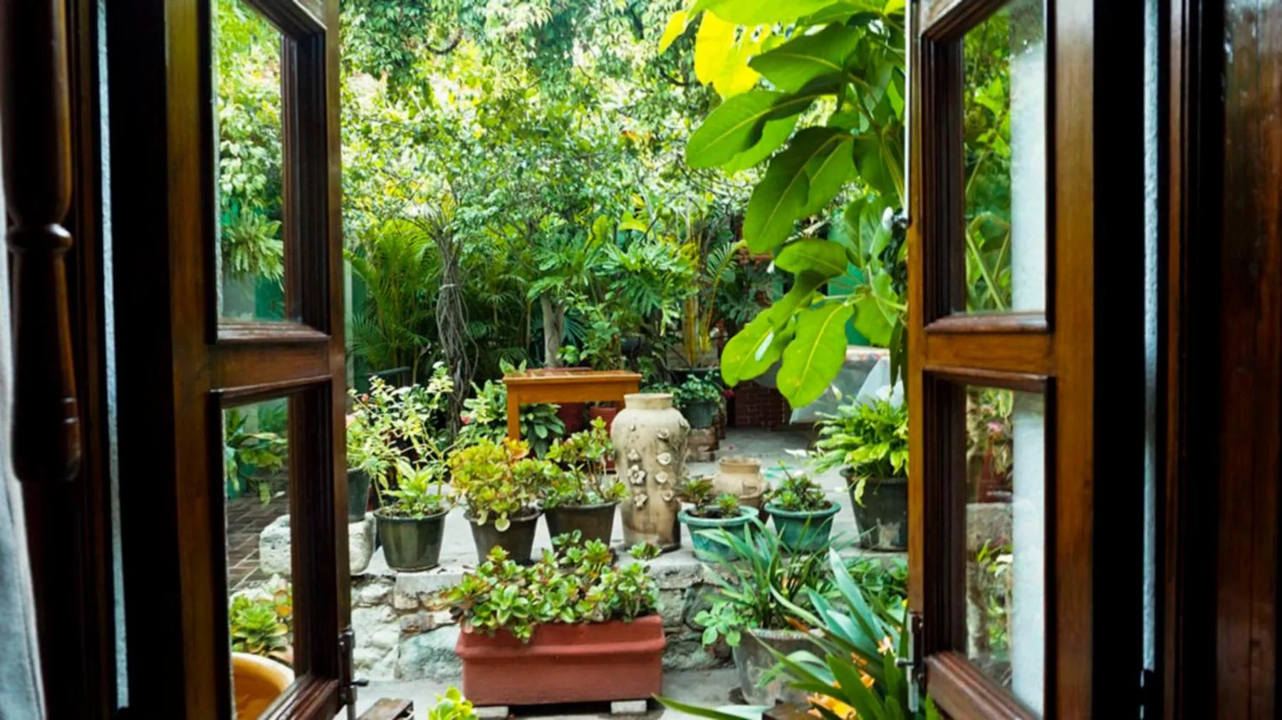 Garden view in Hotel Las Golondrinas