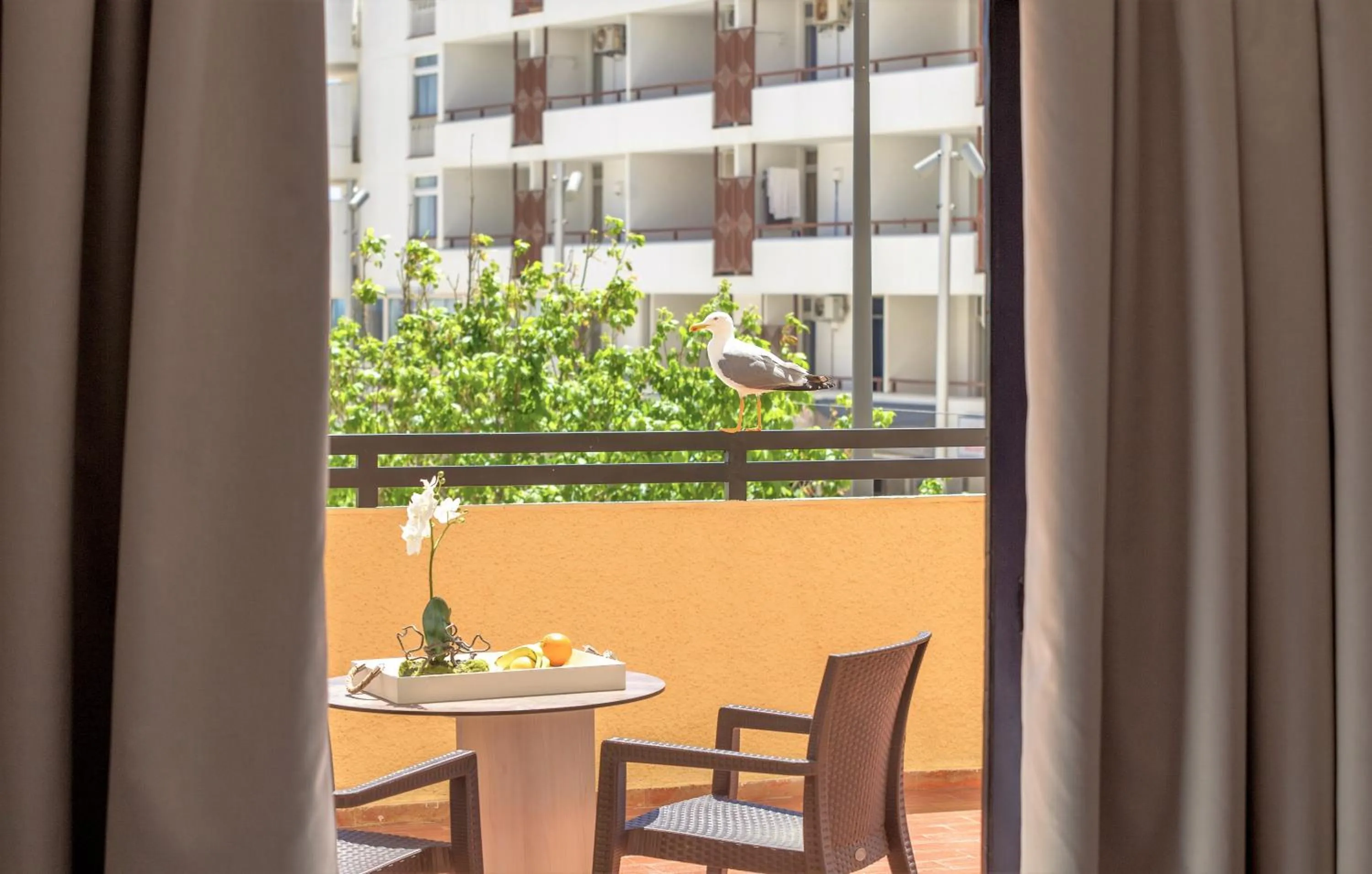 Turial Old Town Ocean View