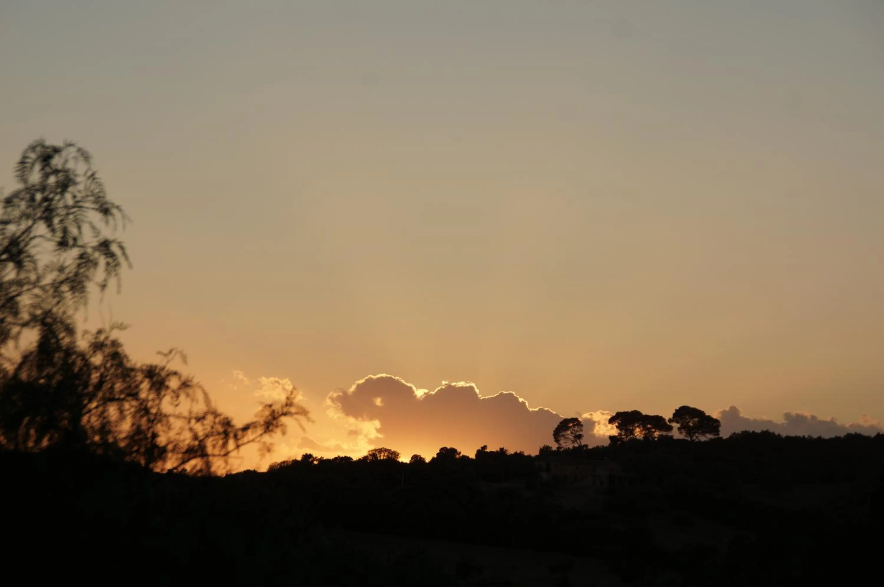 Natural landscape in Aumallia Hotel & Spa