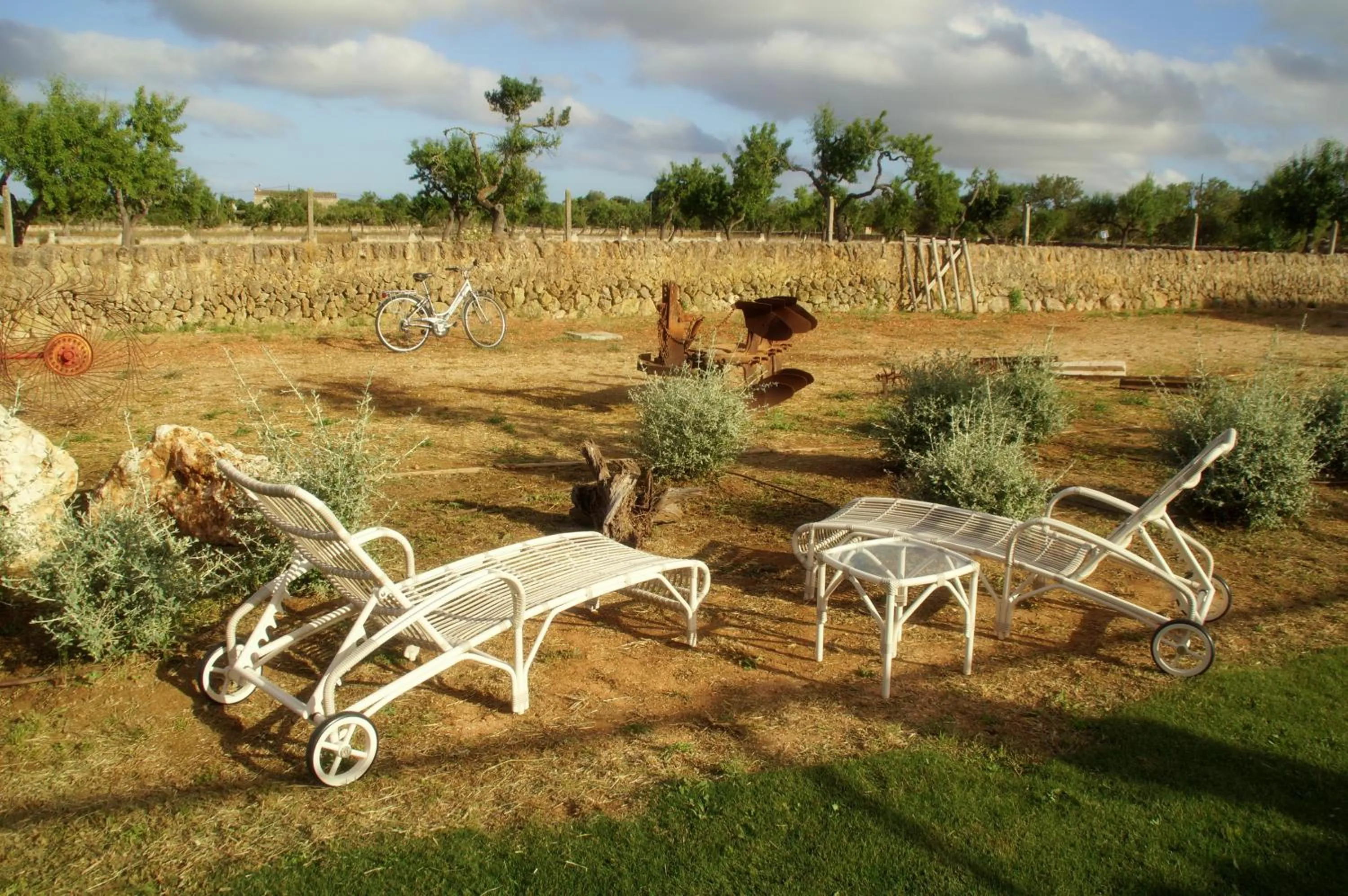 Garden in Aumallia Hotel & Spa