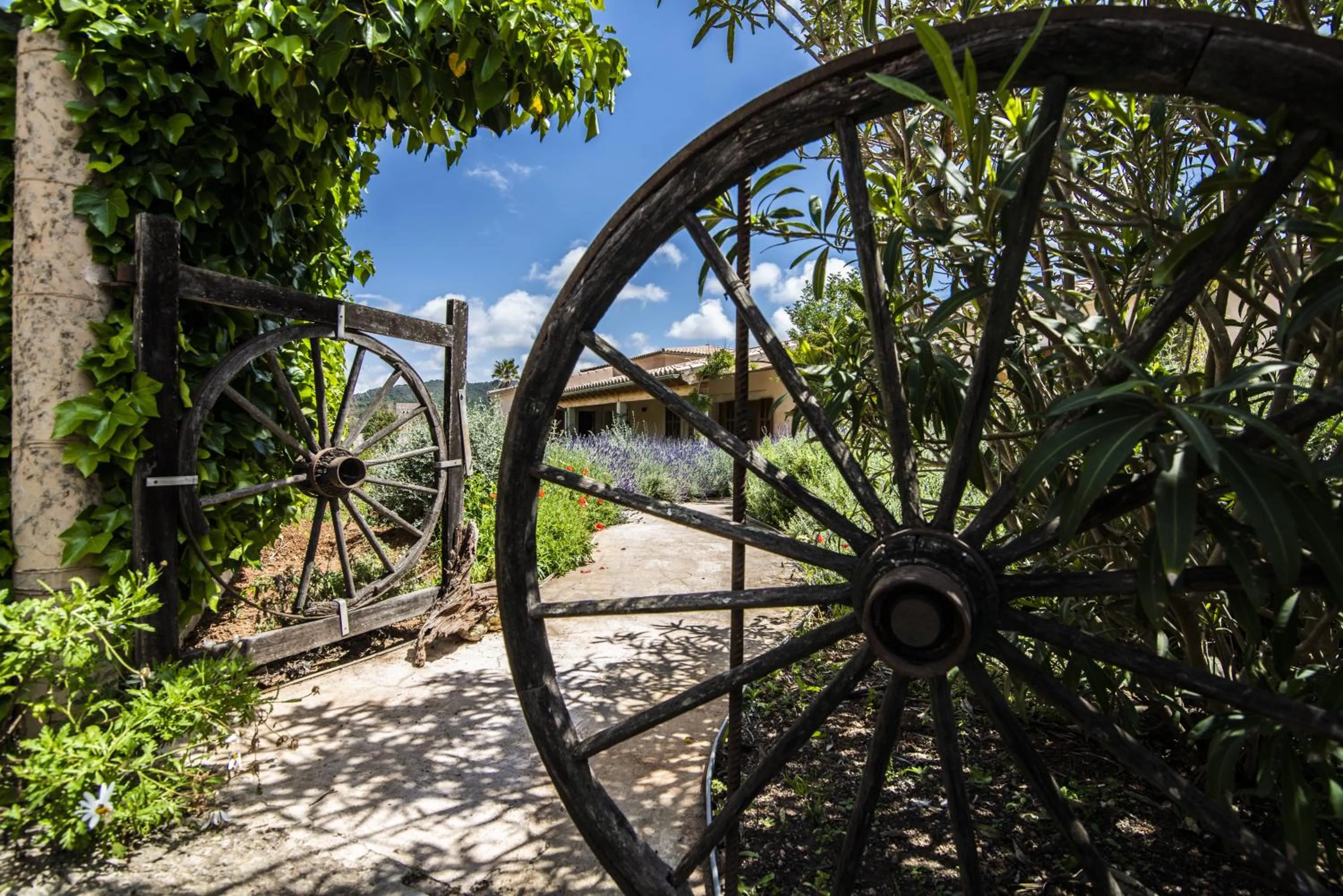 Garden in Aumallia Hotel & Spa