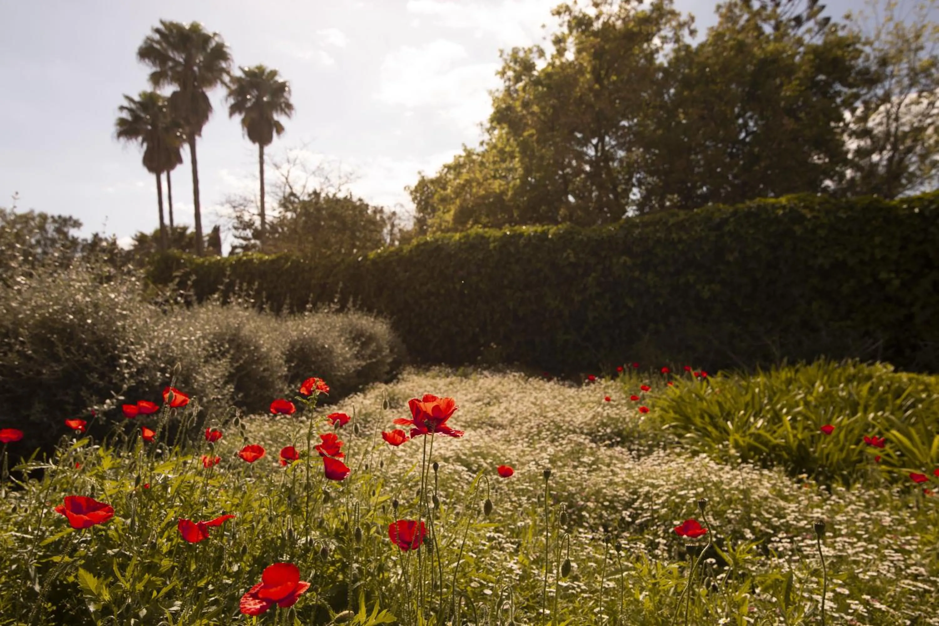Garden in Aumallia Hotel & Spa