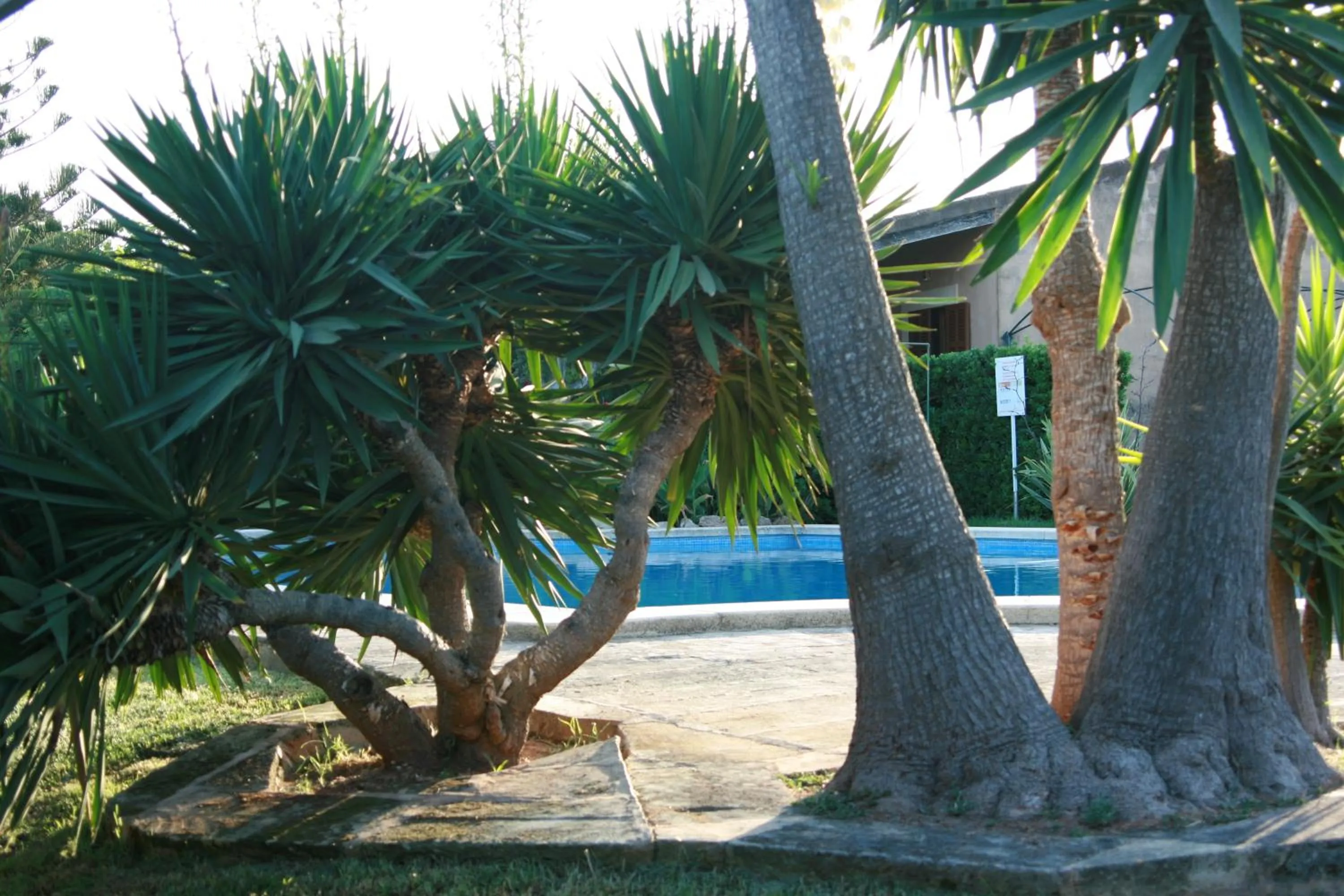 Garden in Aumallia Hotel & Spa