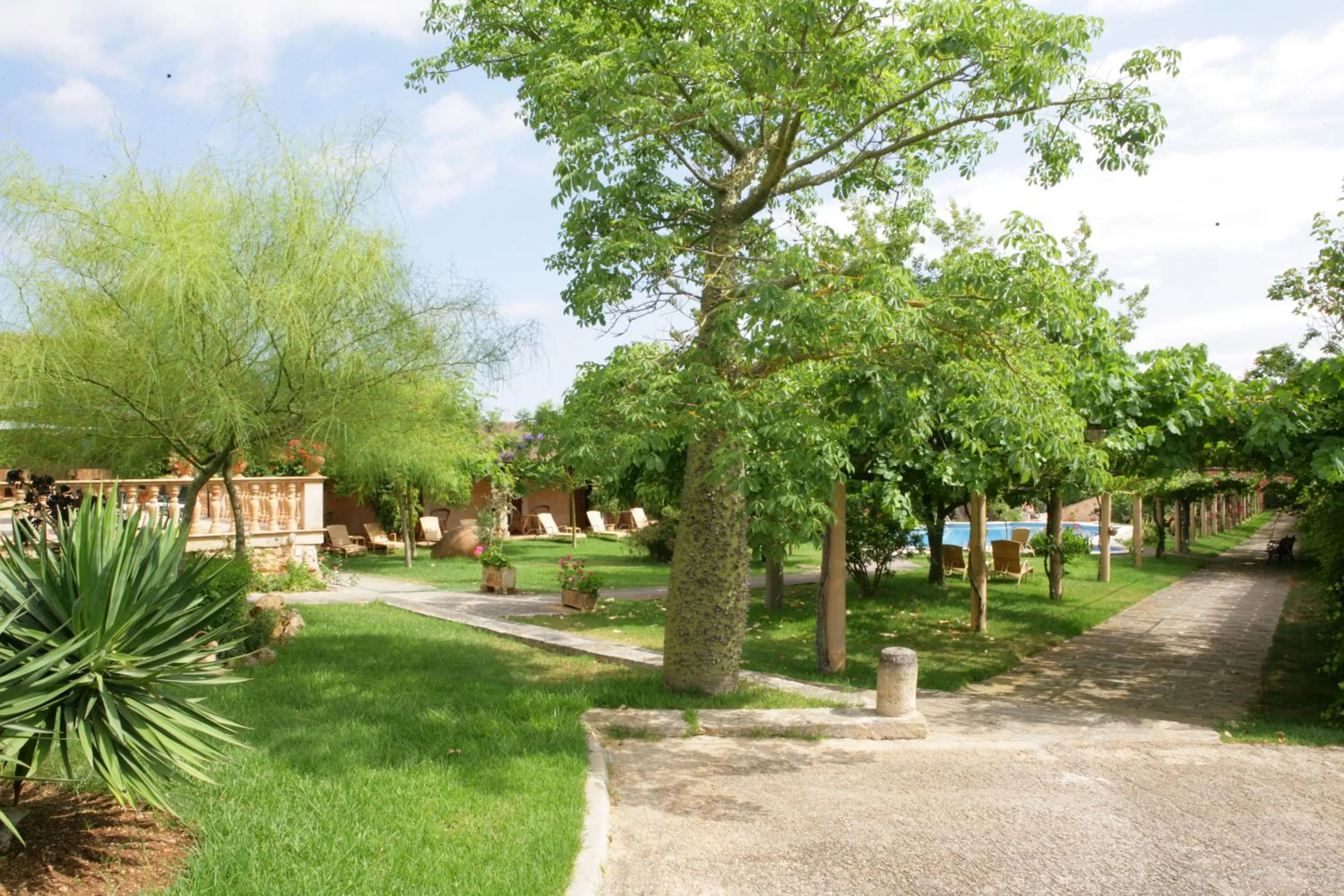 Garden in Aumallia Hotel & Spa