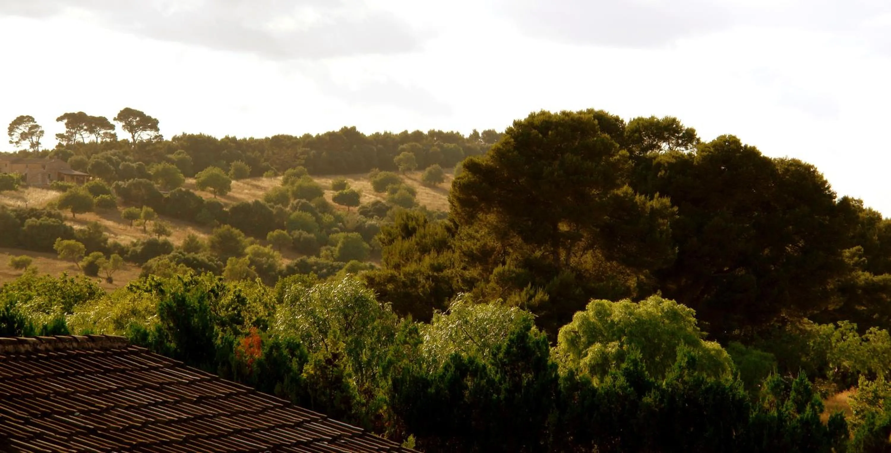 Area and facilities in Aumallia Hotel & Spa